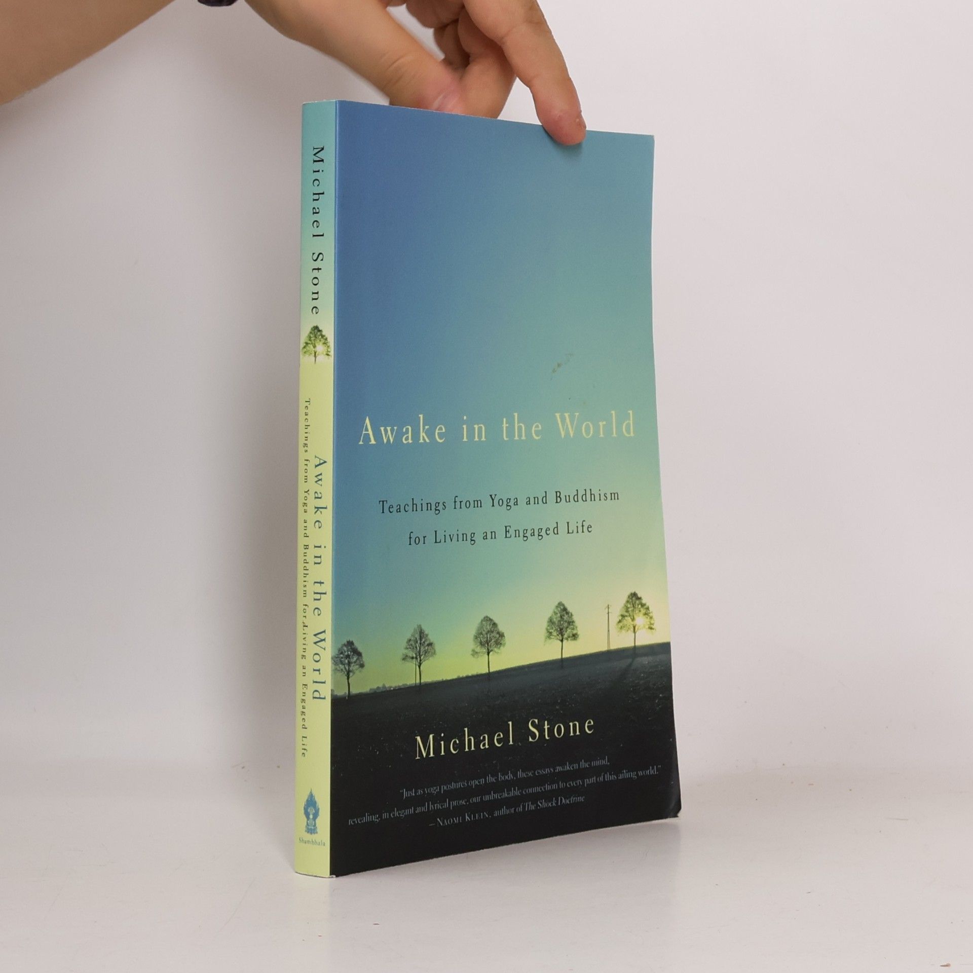 Michael Stone Awake in the World
