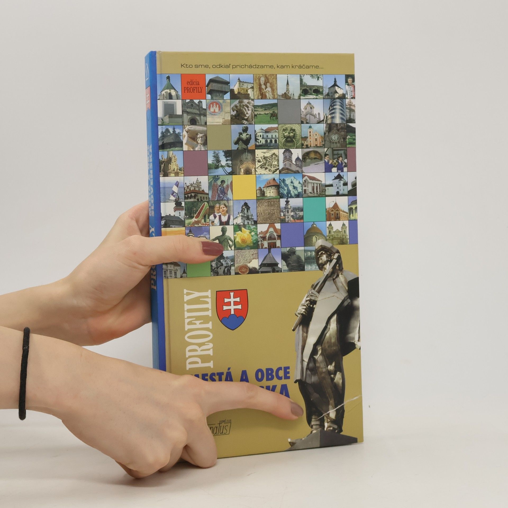 Various authors Profily Mestá a obce Slovenska