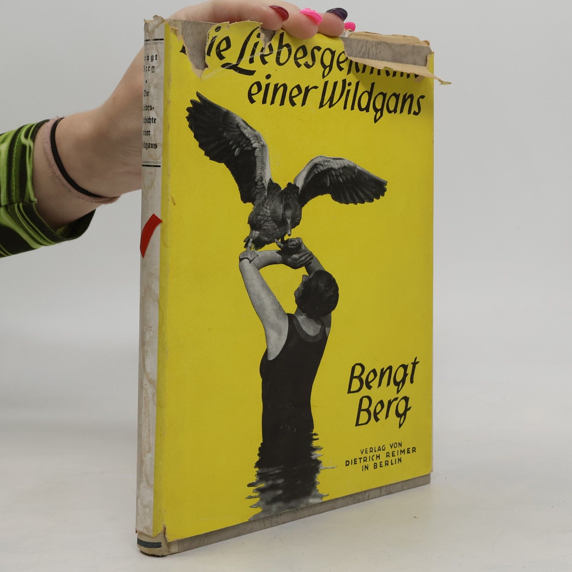 Die Liebesgeschichte einer Wildgans