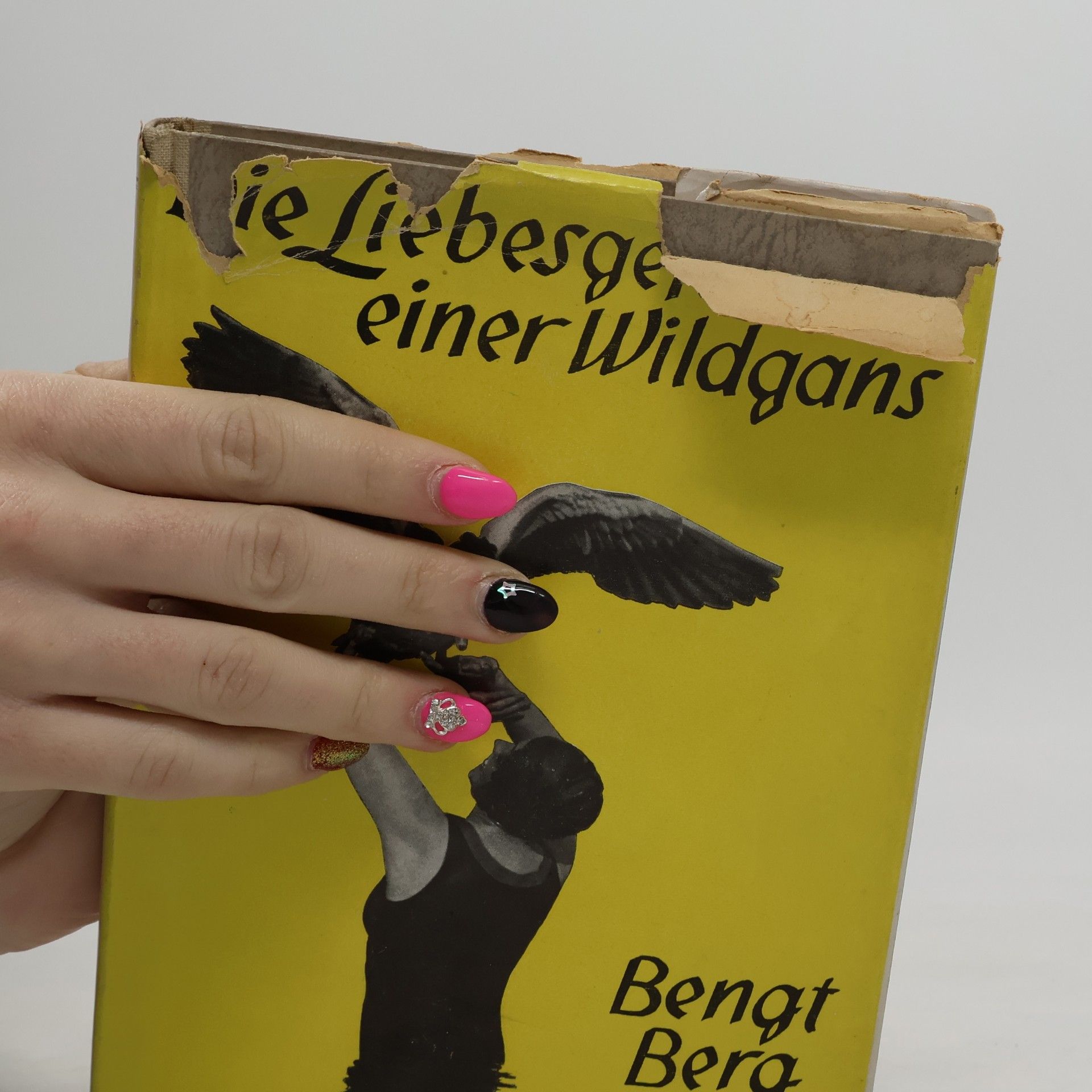 Bengt Berg Die Liebesgeschichte einer Wildgans