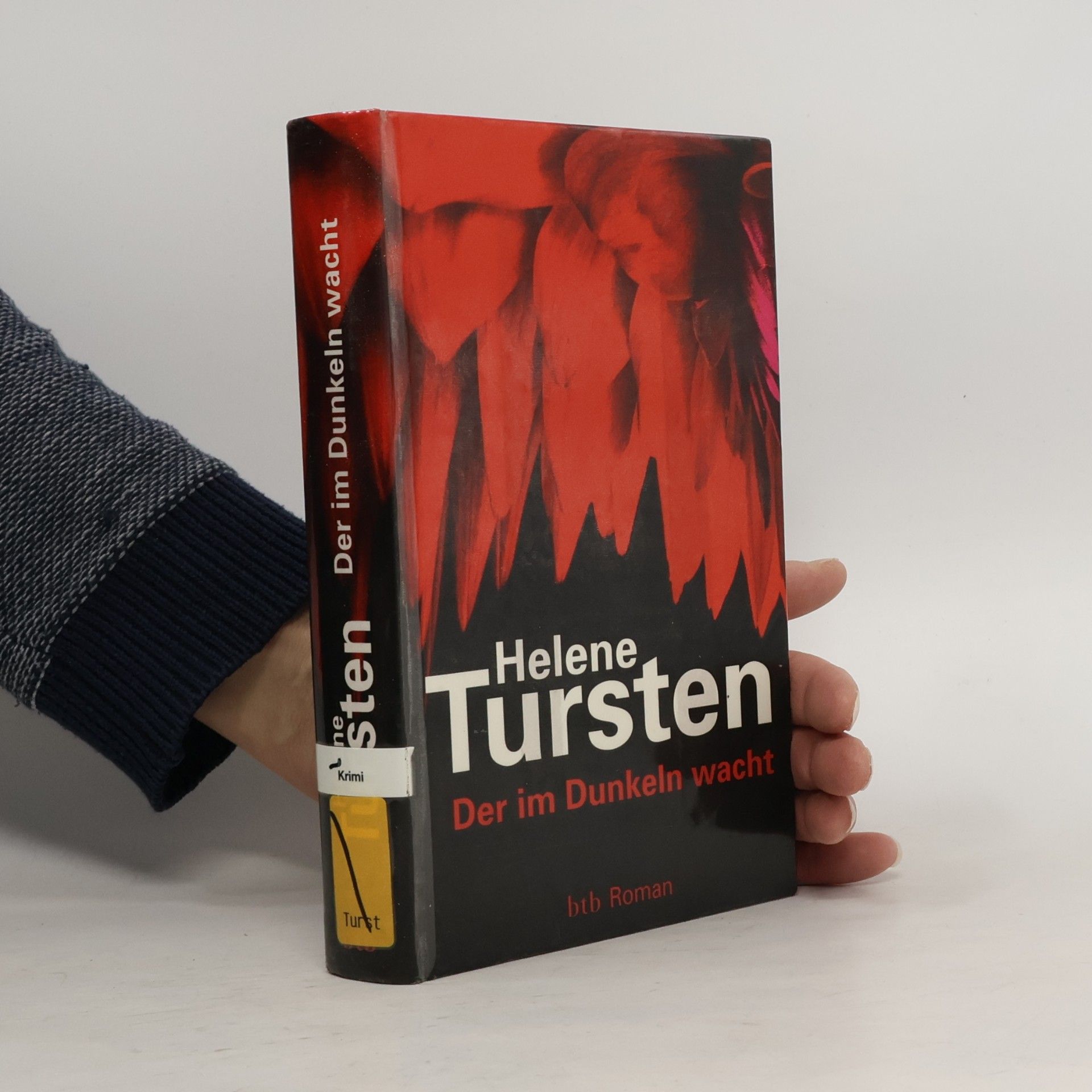 Der im Dunkeln wacht