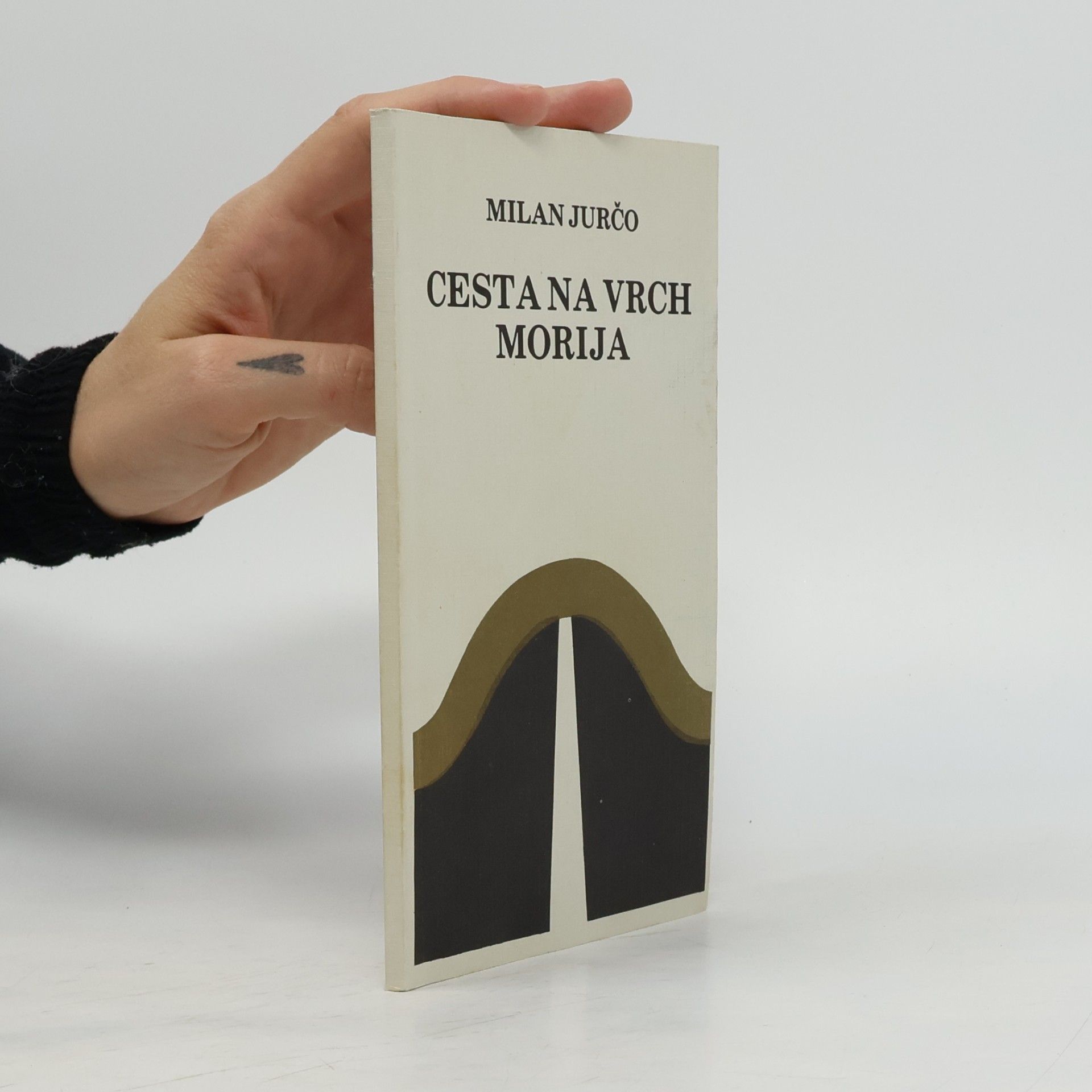 Cesta na vrch Morija