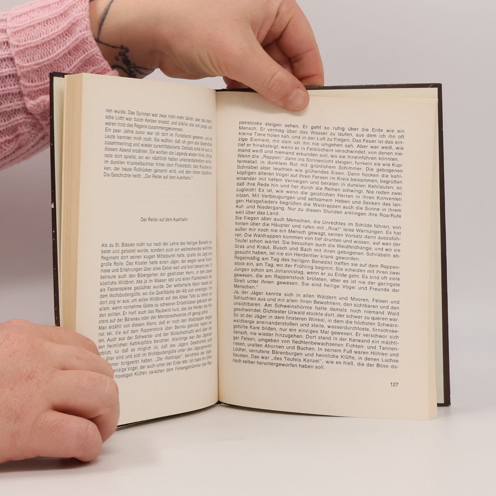 Wilhelm Fabricius Der Page und das Paradies