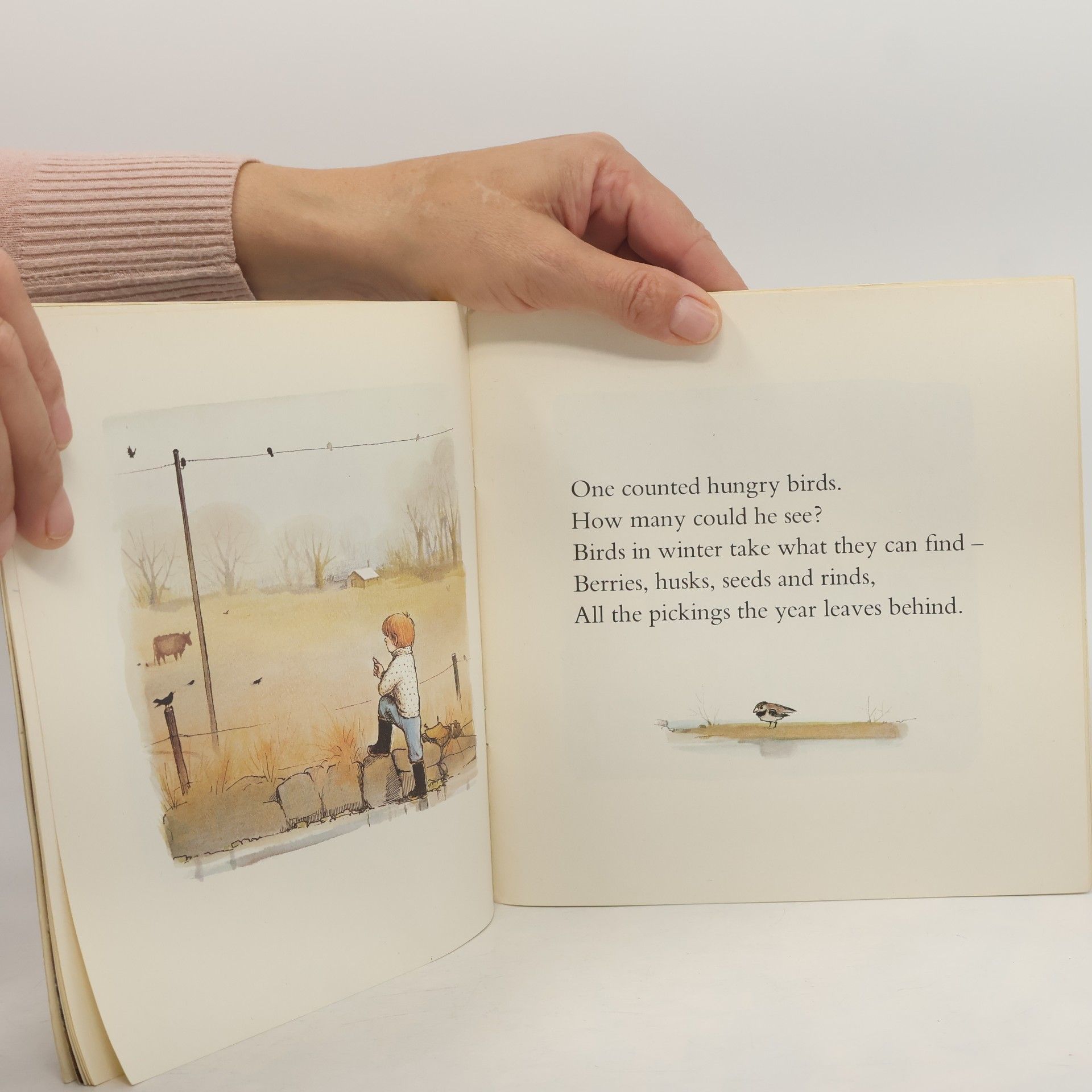 Ruth Craft The Winter Bear