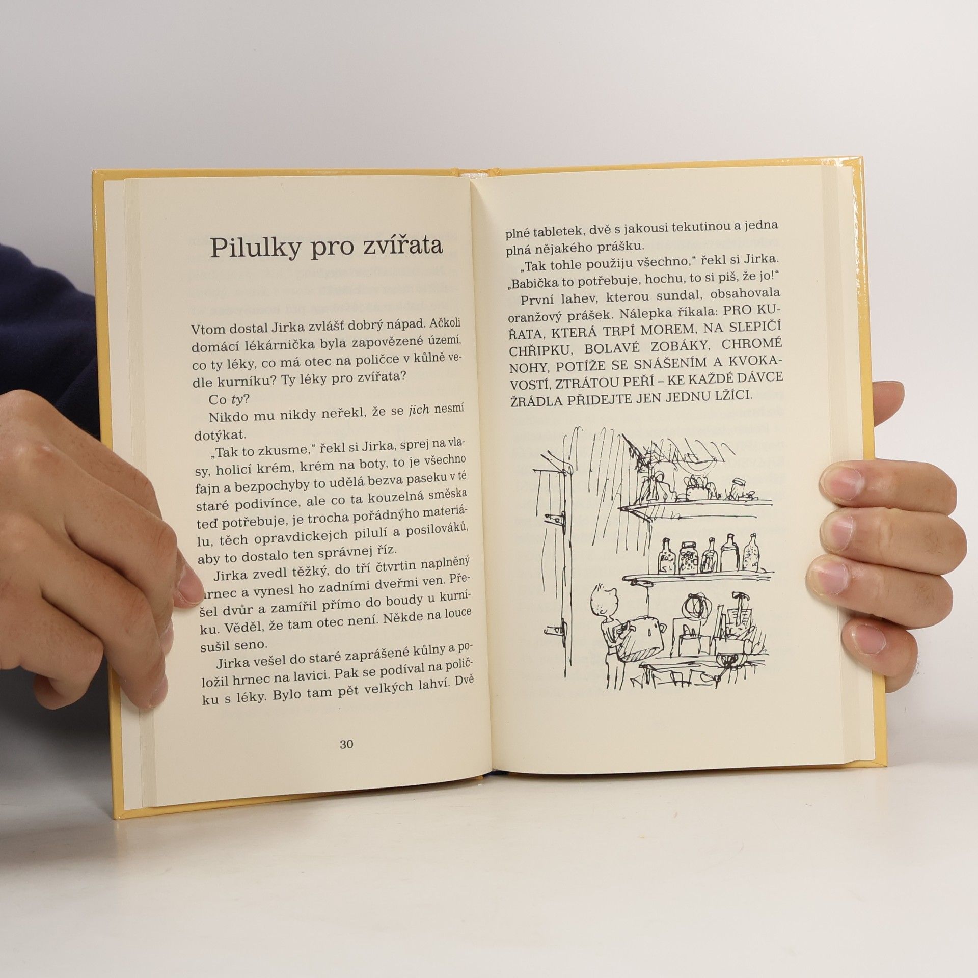 Roald Dahl Jirkova zázračná medicína