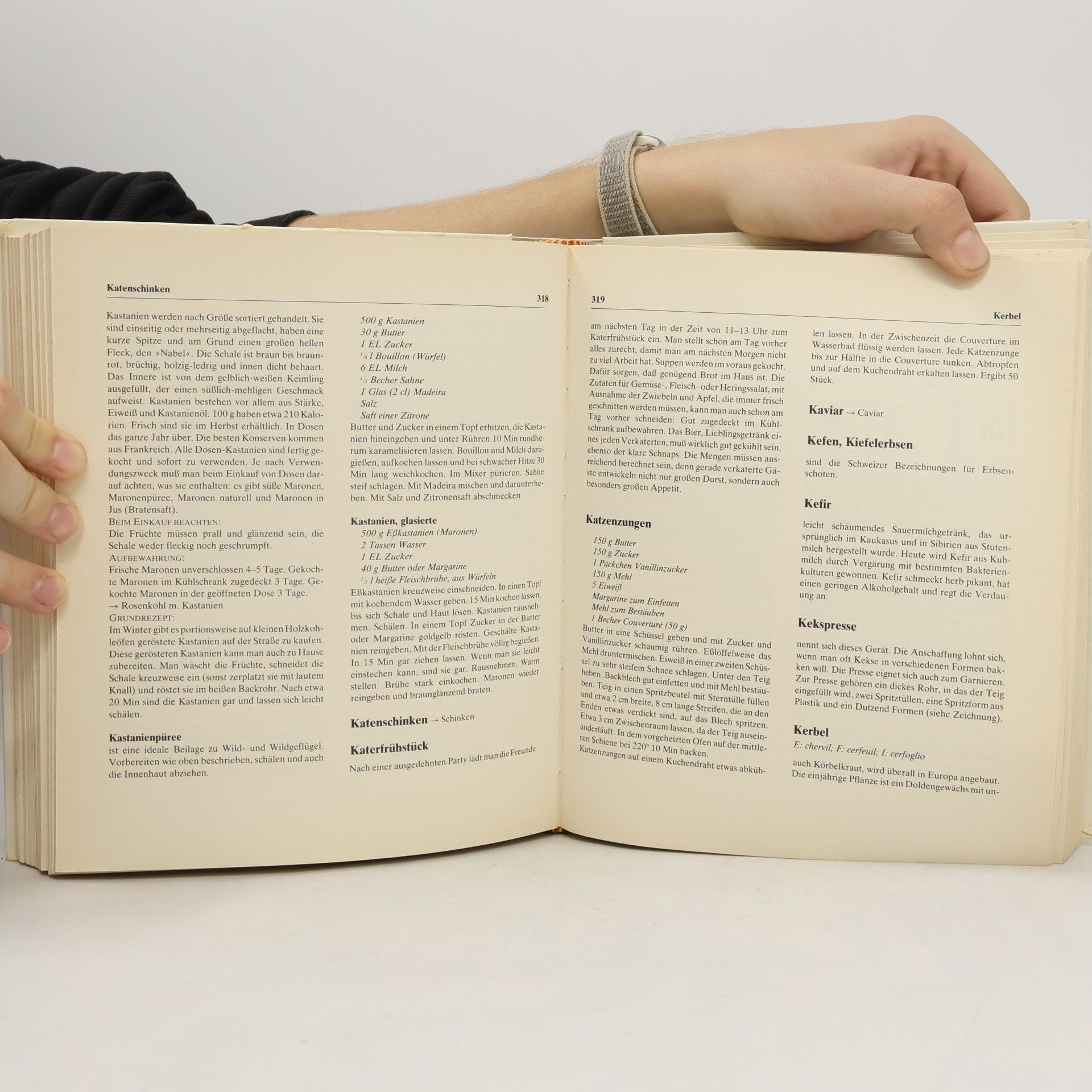 Various authors Das große Küchen Lexikon