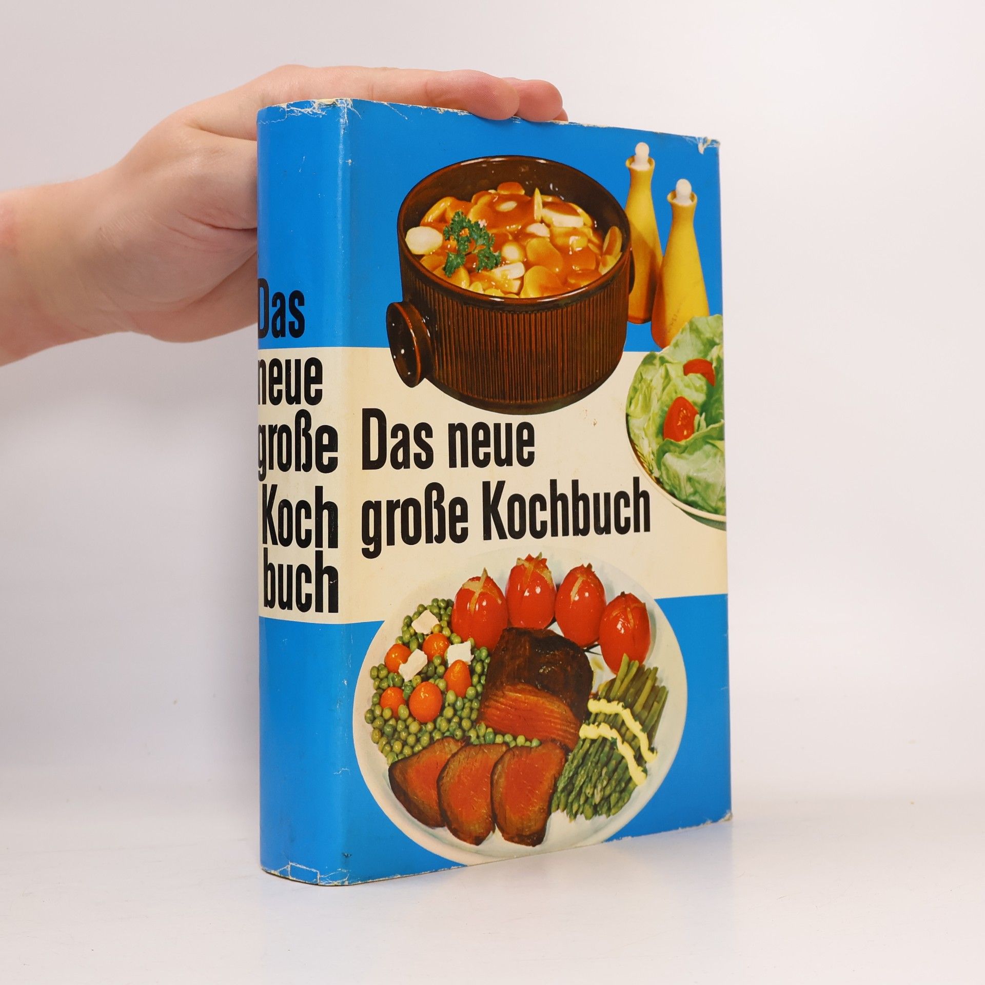 Kolektiv autorů Das neue große Kochbuch