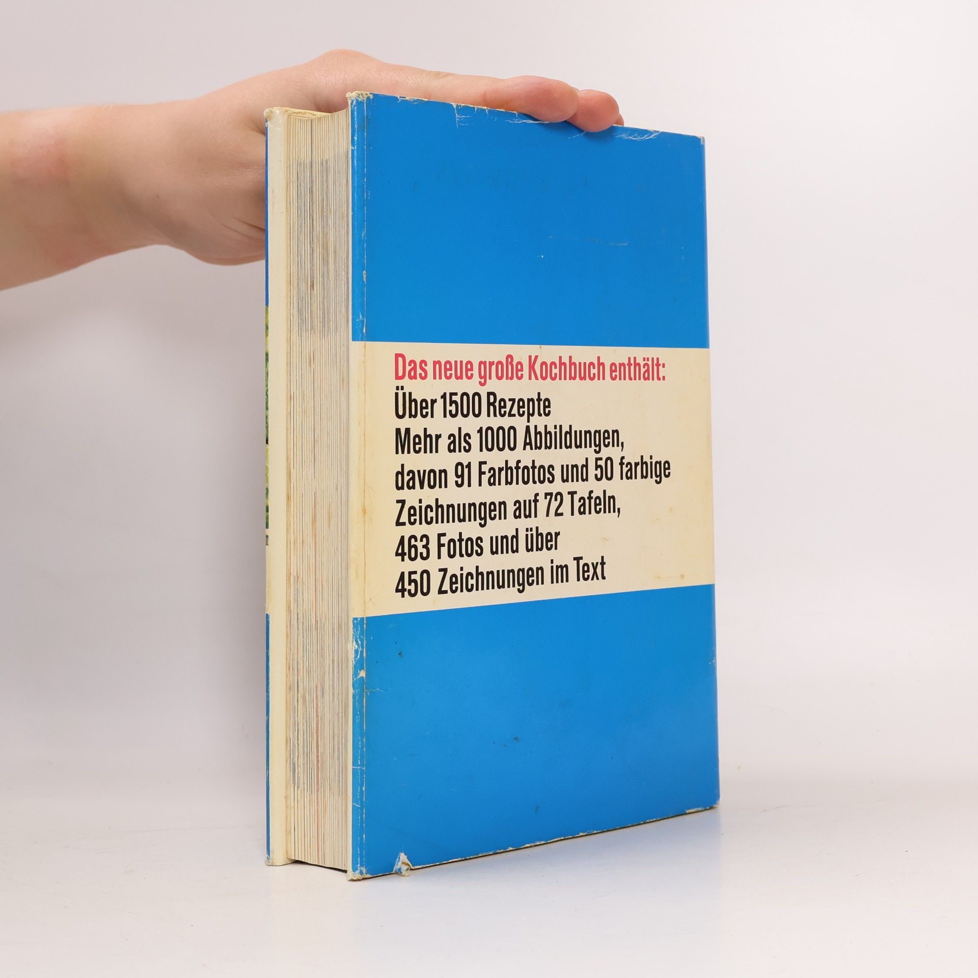 Kolektiv autorů Das neue große Kochbuch
