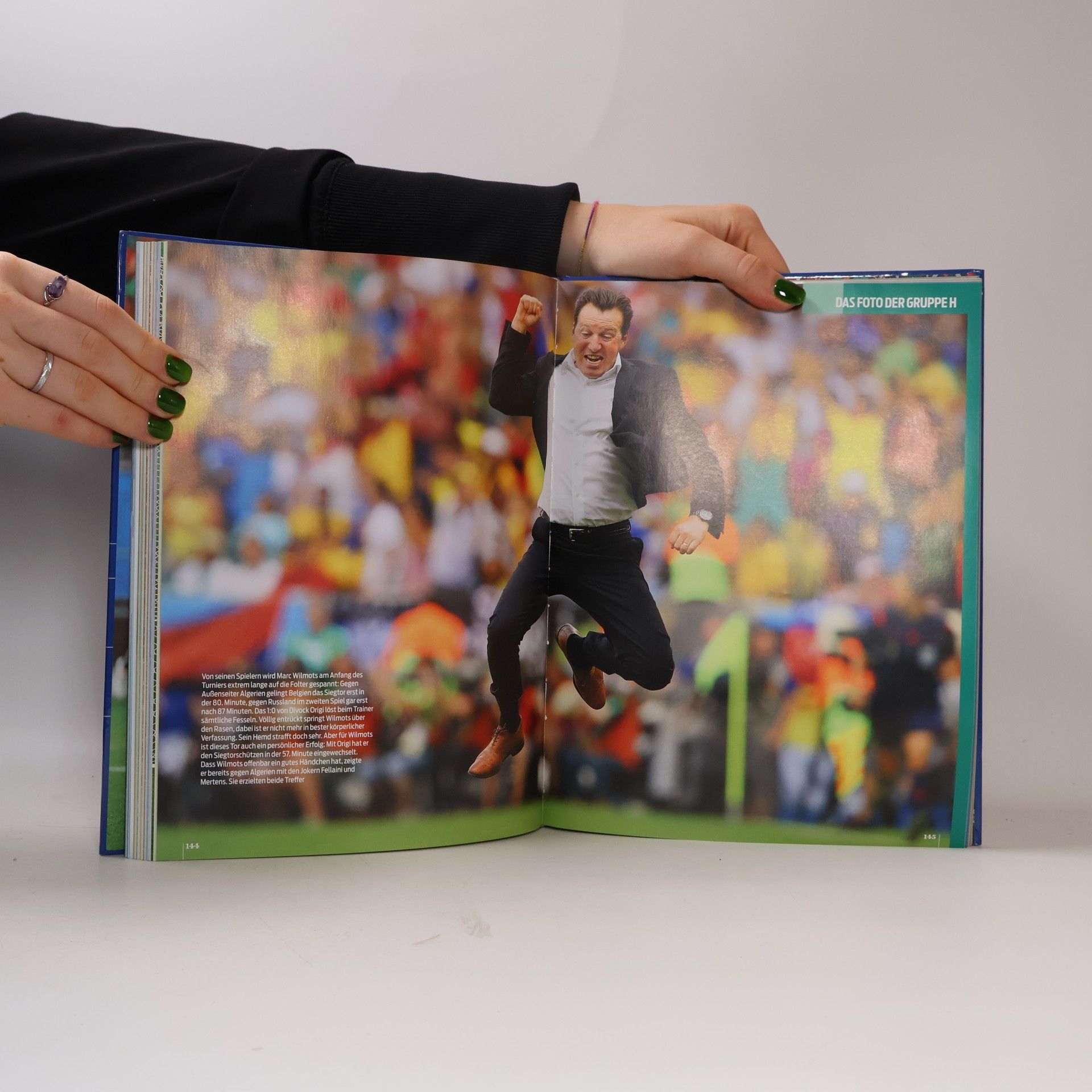 Alfred Draxler Fussball-WM 2014