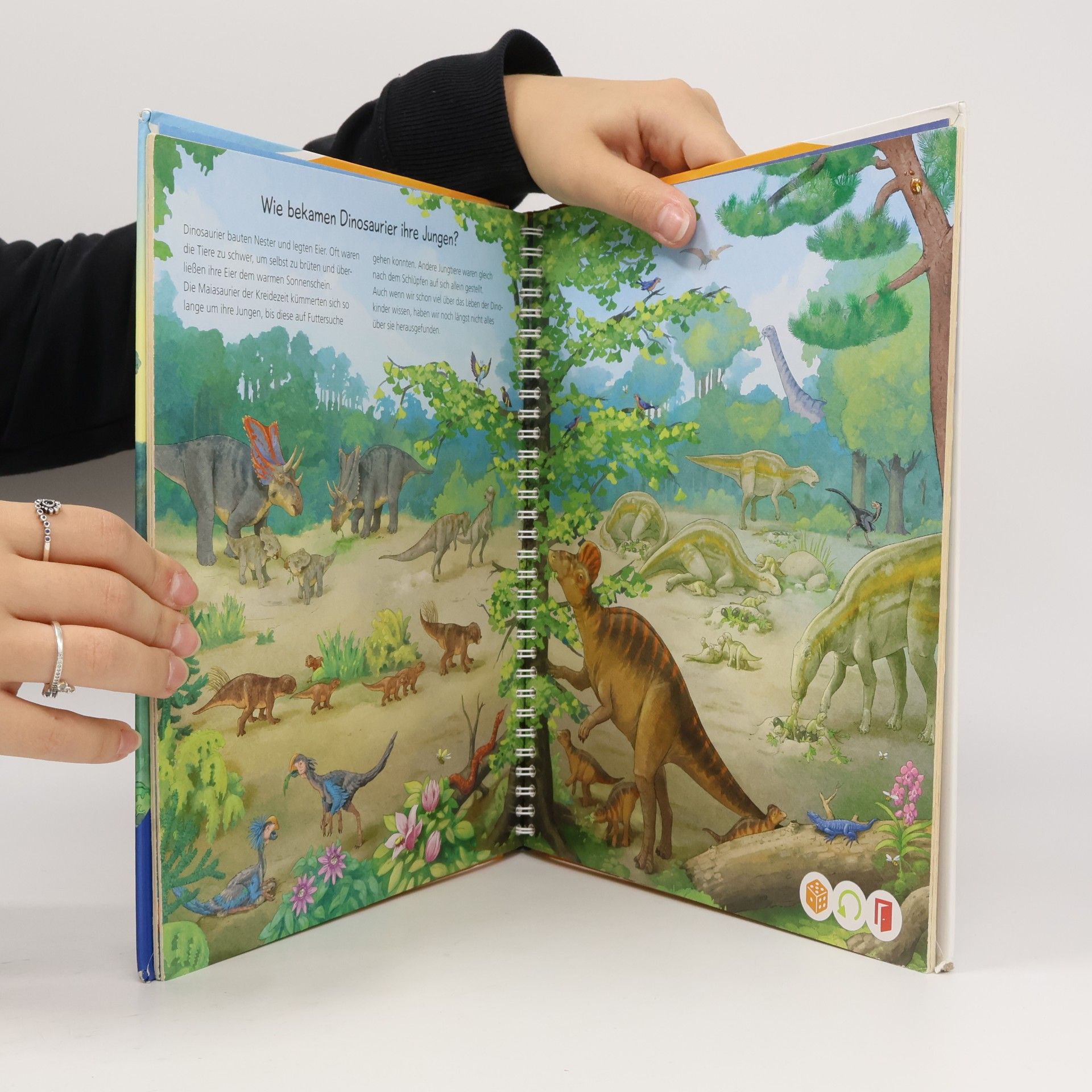 Inka Friese Wir entdecken die Dinosaurier