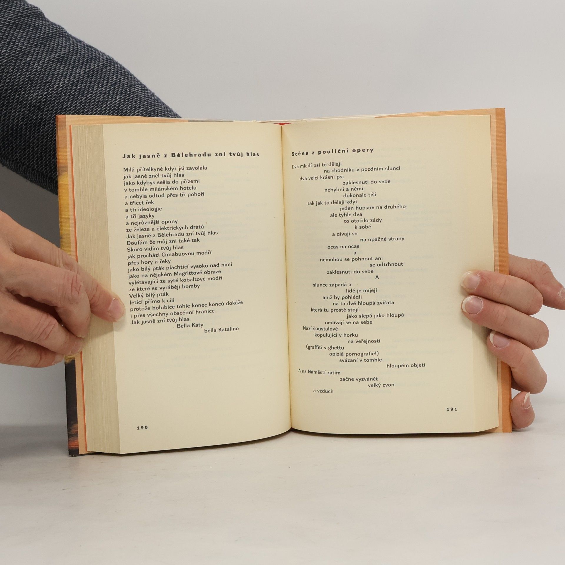 Lawrence Ferlinghetti Ve snu ve snu snil jsem sen