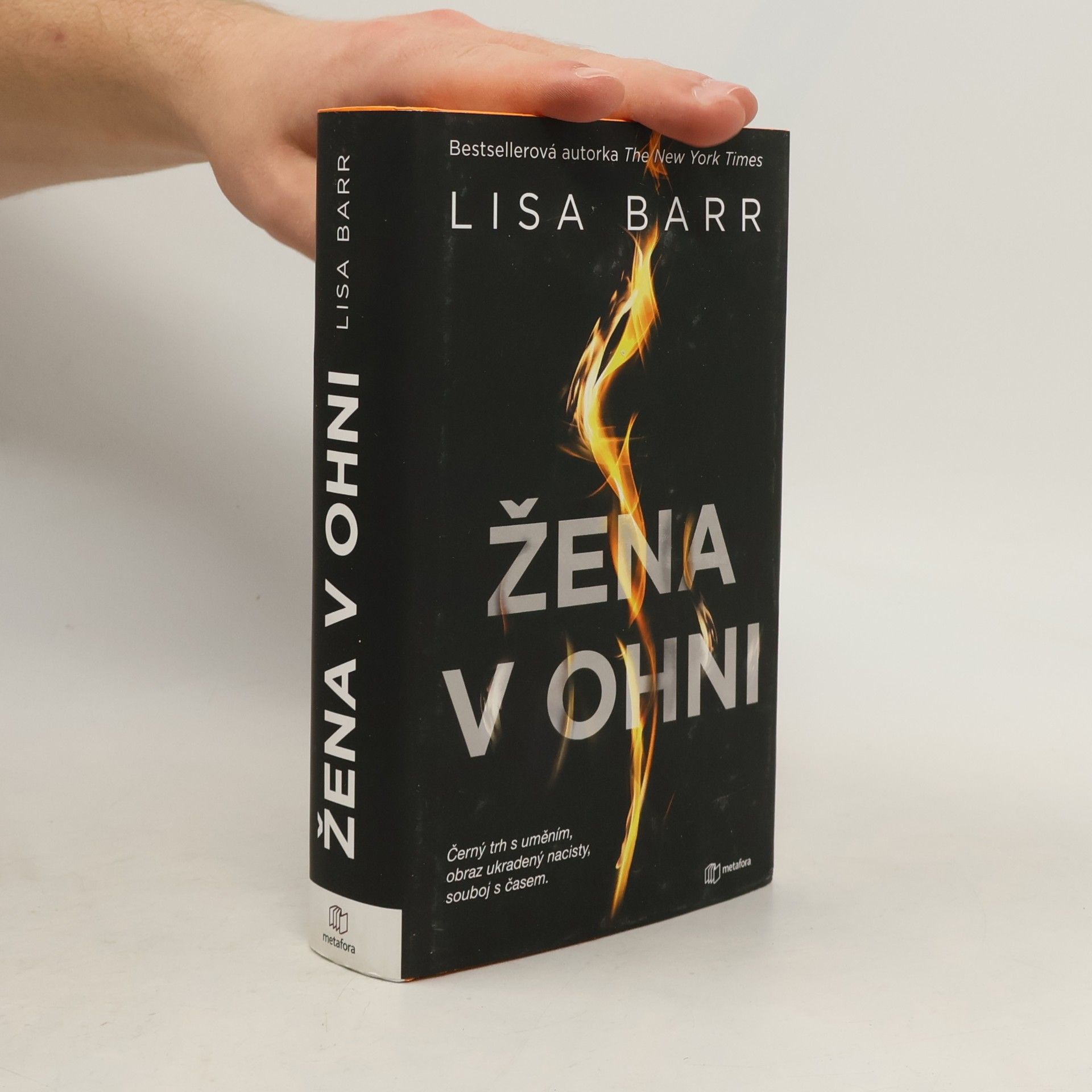 Lisa Barr Žena v ohni