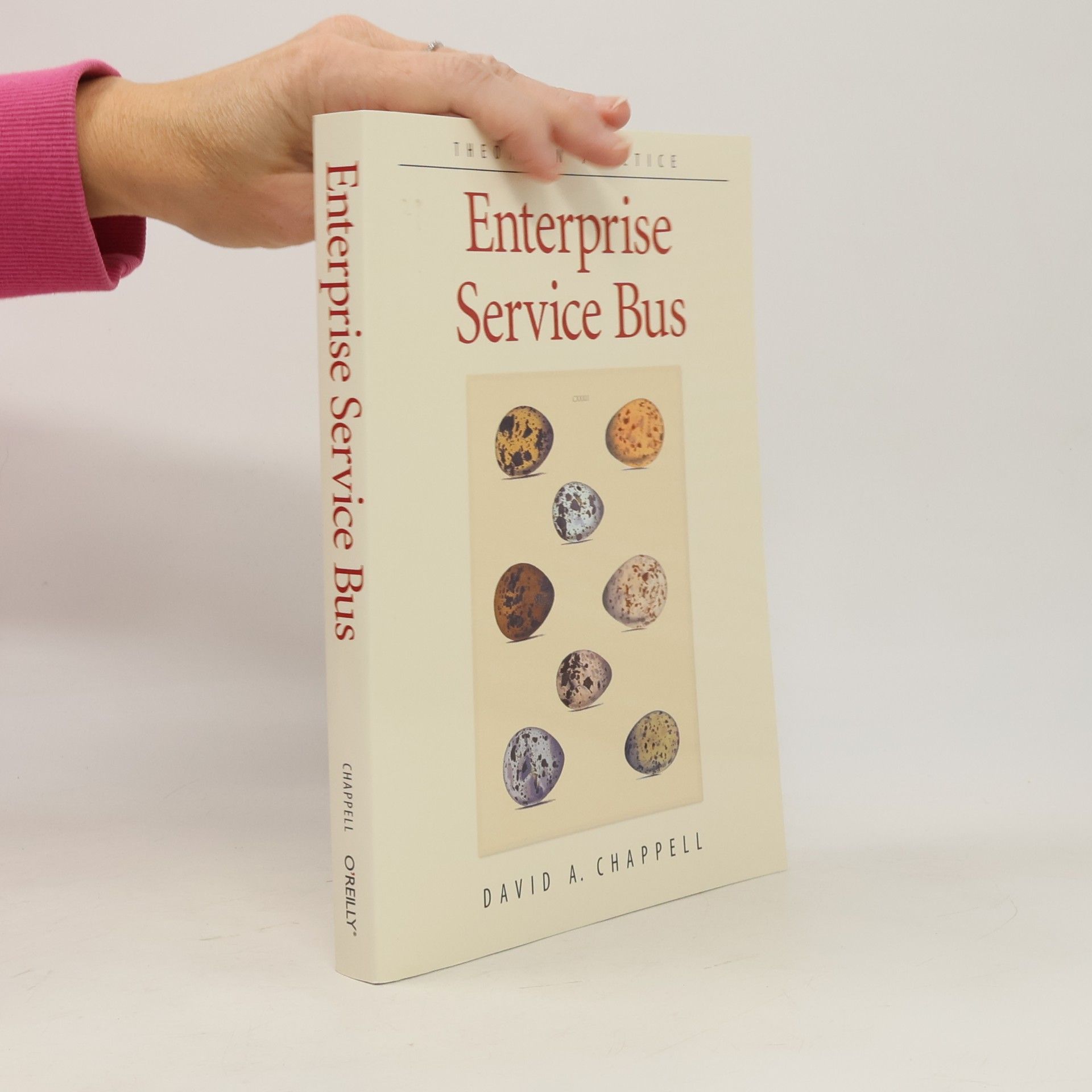 Enterprise Service Bus