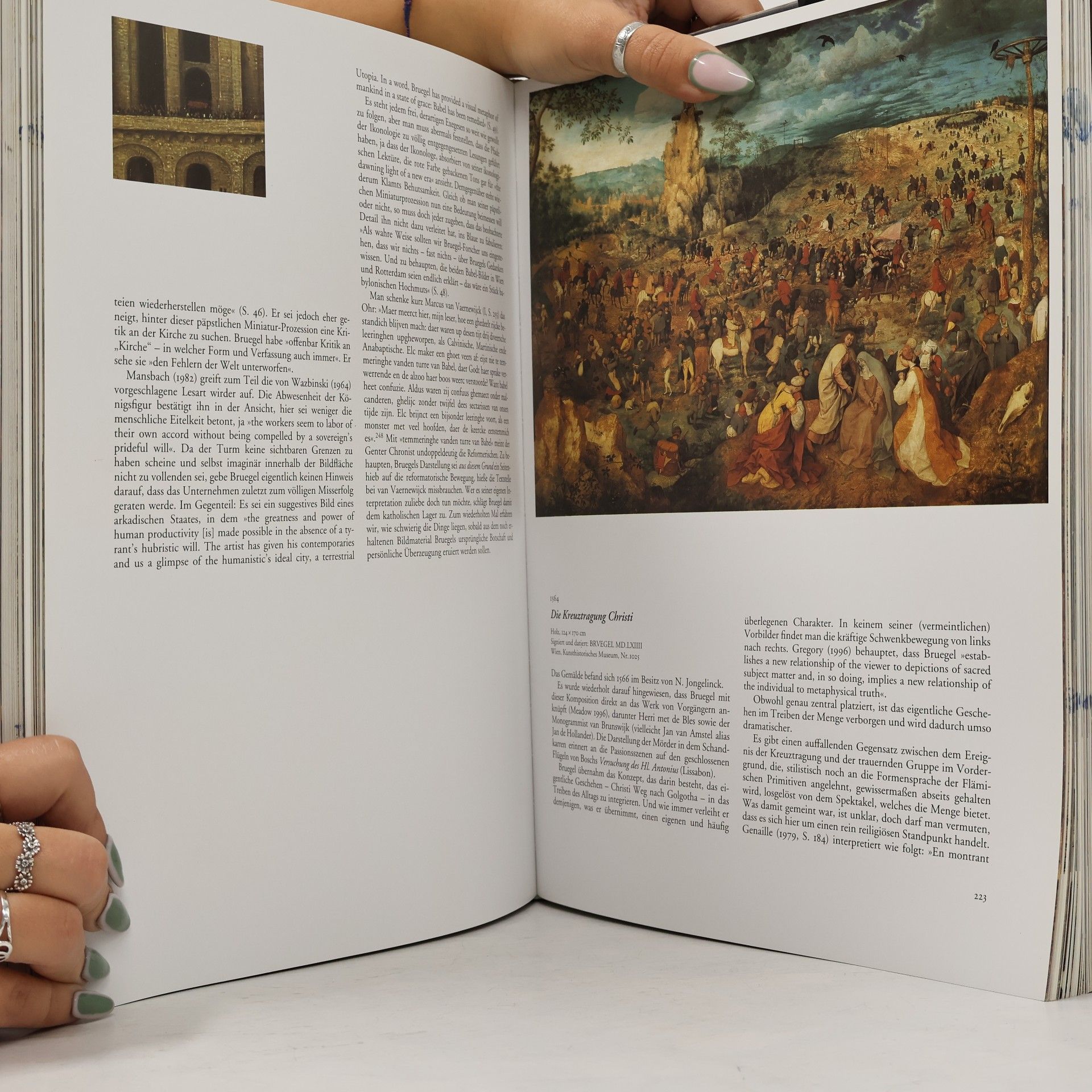 Roger Marijnissen Bruegel