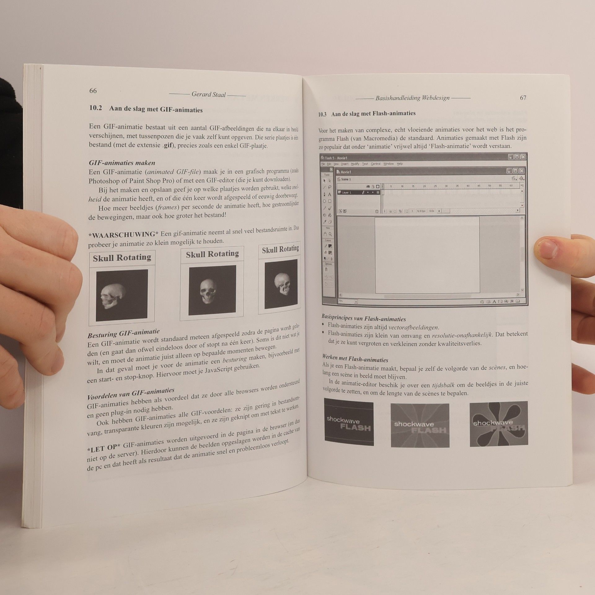 Staal, Gerard Webdesign(basishandleiding): optimale websites ontwerpen & maken