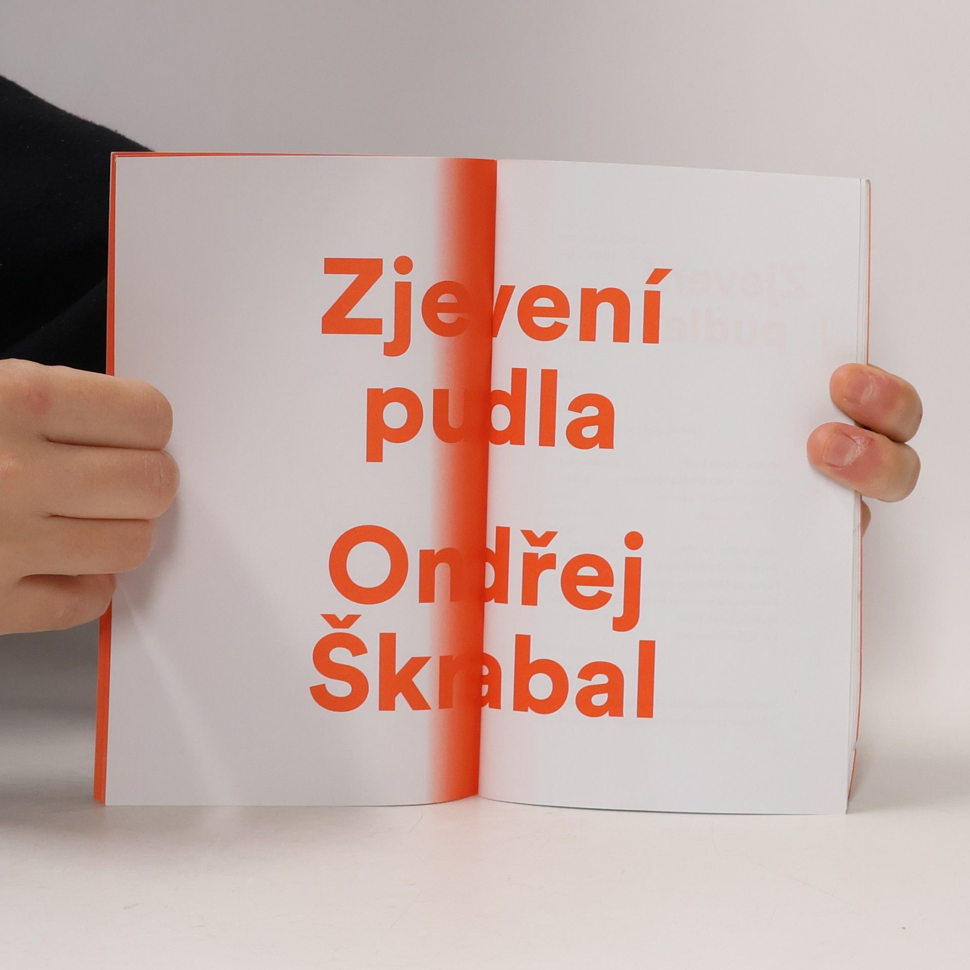 Ondřej Škrabal Zjevení pudla