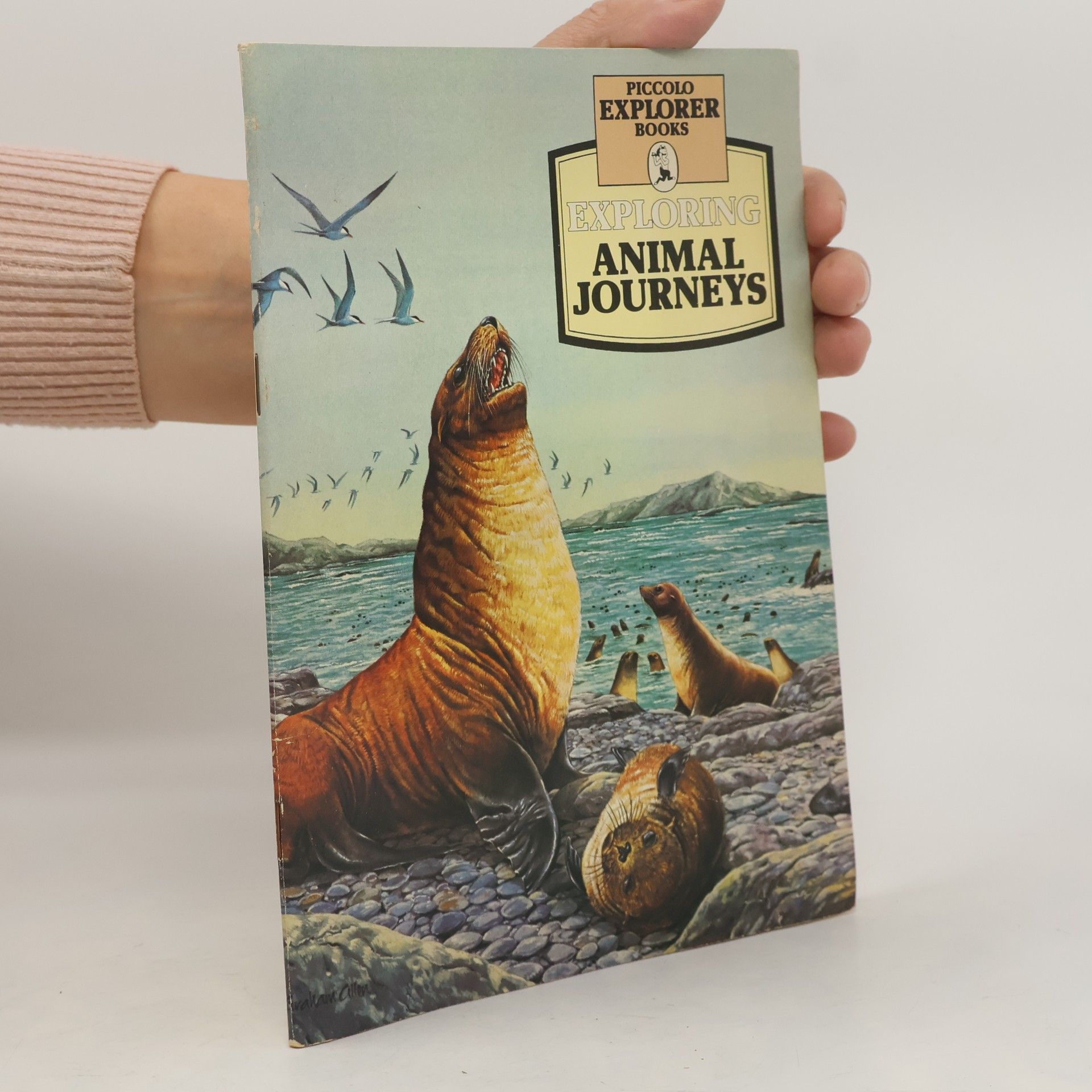 Piccolo Explorer Books: Exploring Animal Journeys