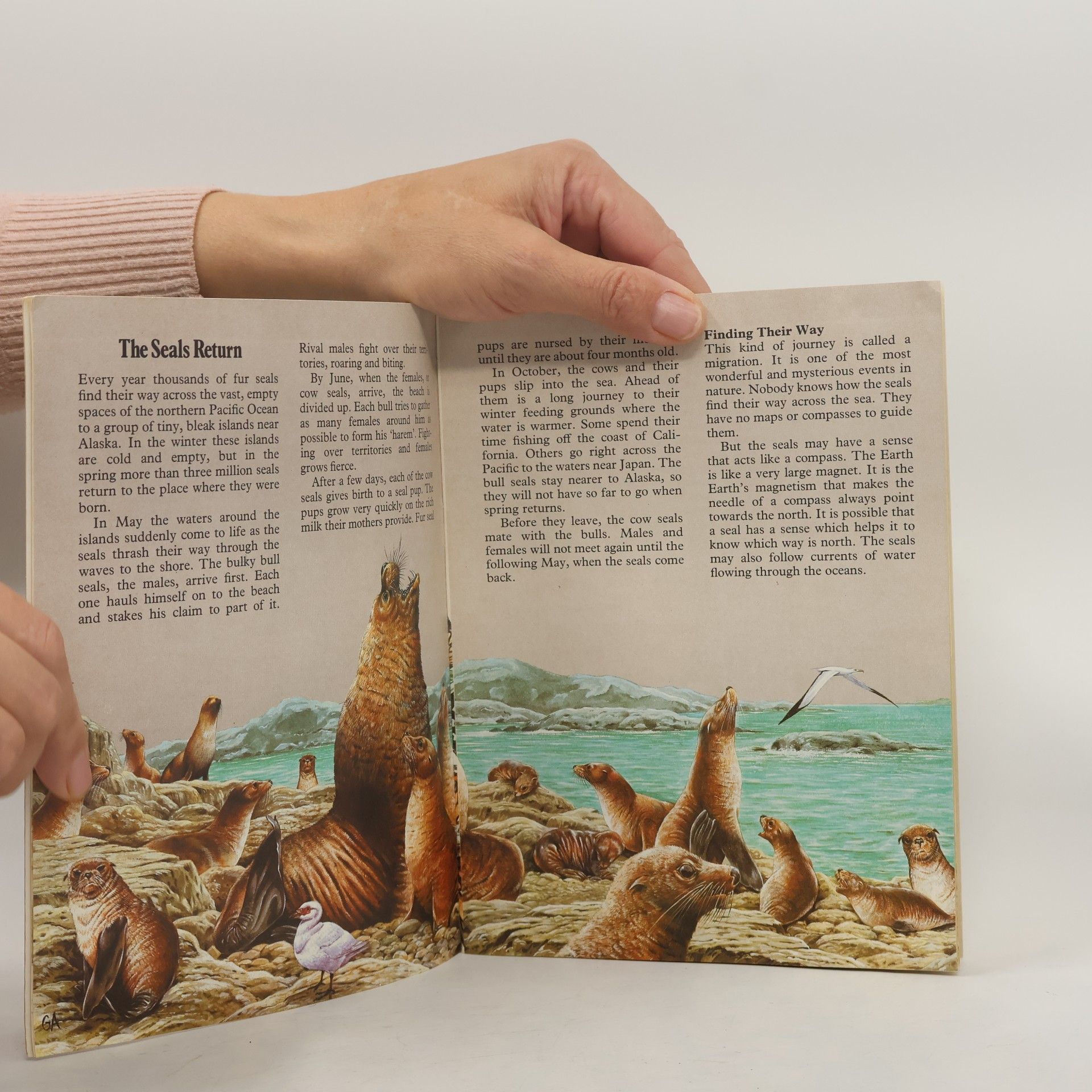 Graham Allen Piccolo Explorer Books: Exploring Animal Journeys
