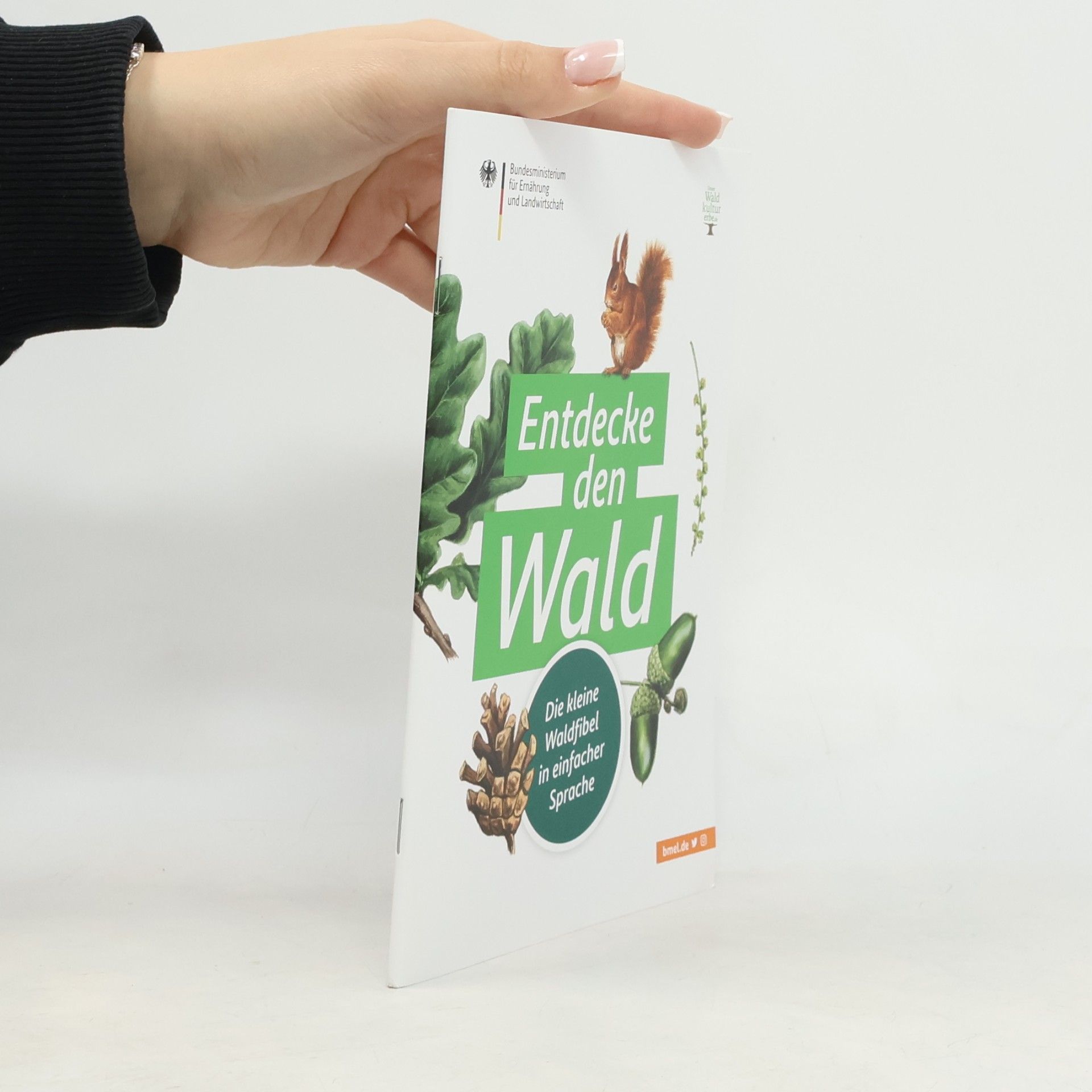 Kolektiv autorů Entdecke den Wald