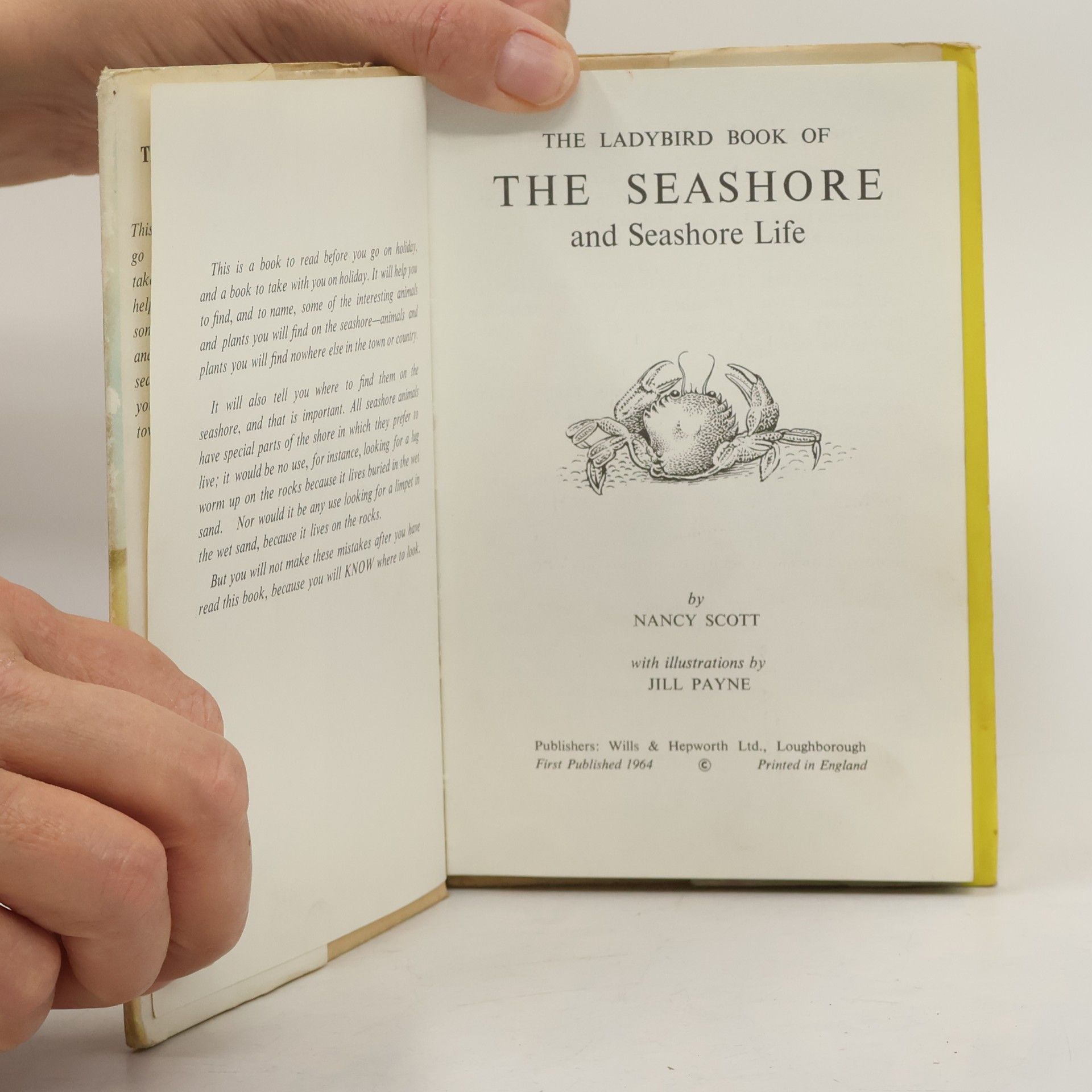 Nancy Scott The Ladybird Book of THE SEASHORE and Seashore Life