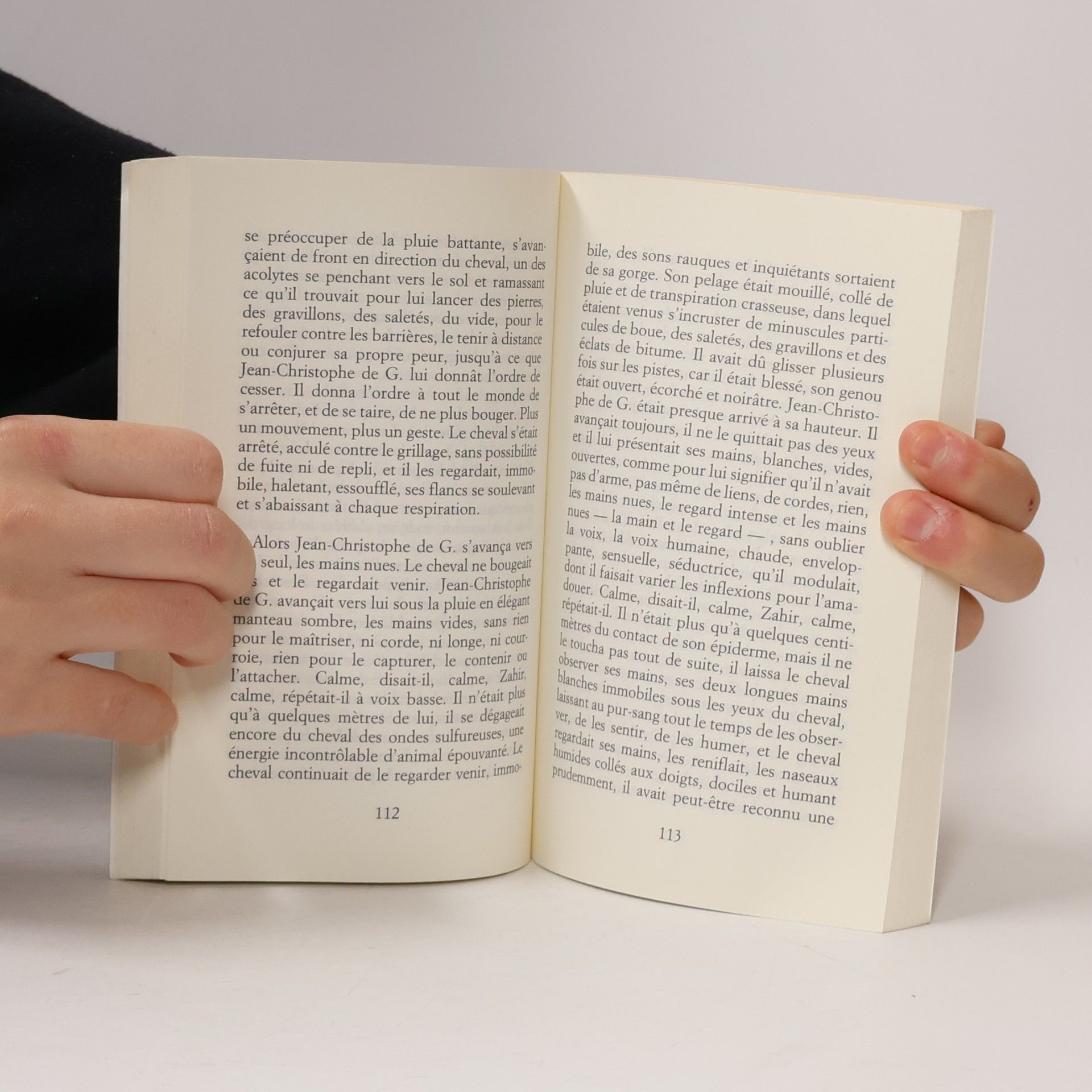 Jean-Philippe Toussaint La vérité sur Marie. Die Wahrheit über Marie, französische Ausgabe. Ausgezeichnet mit dem Prix Décembre 2009