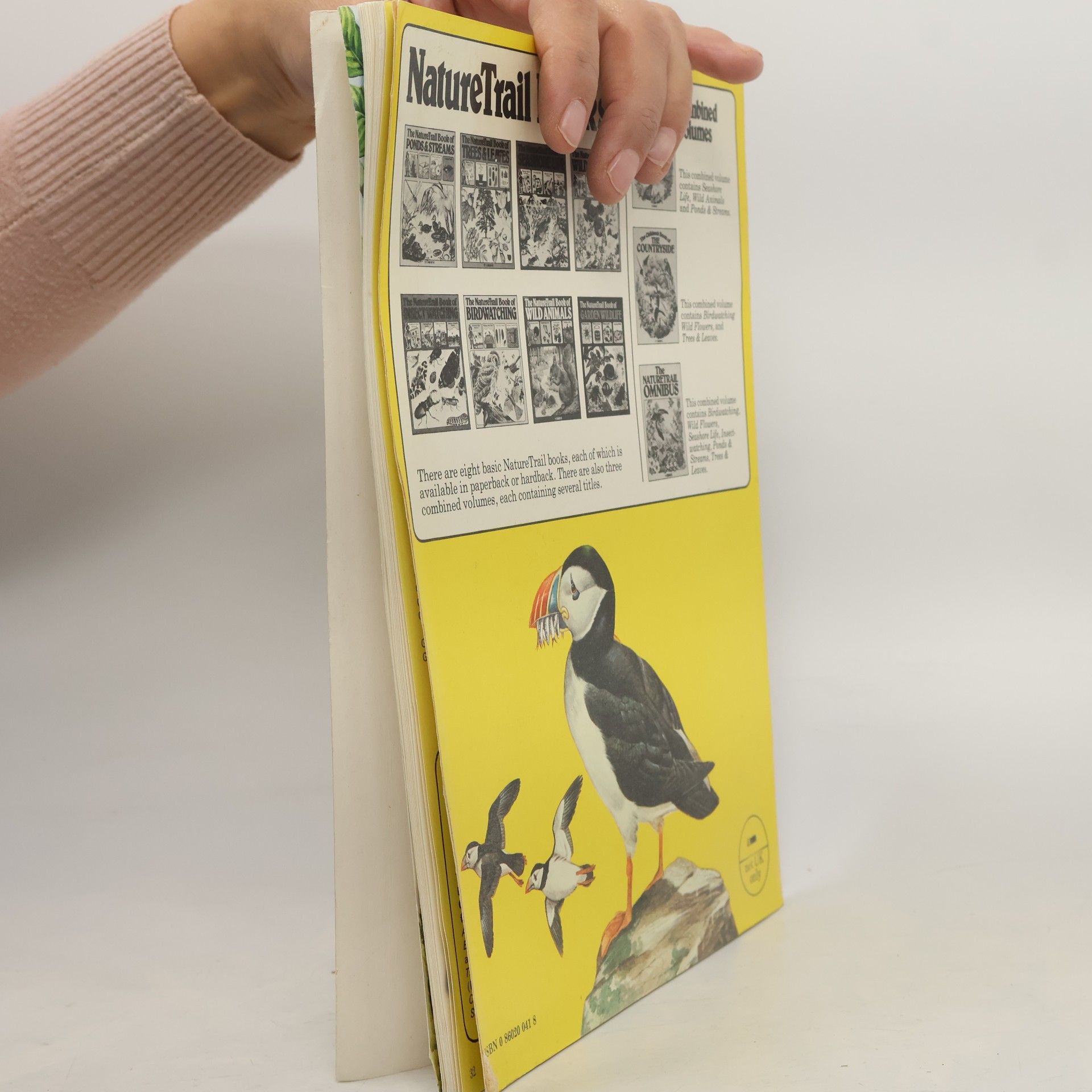 Susannah Davidson Nature Trail Series: The Usborne NatureTrail Book of Birdwatching
