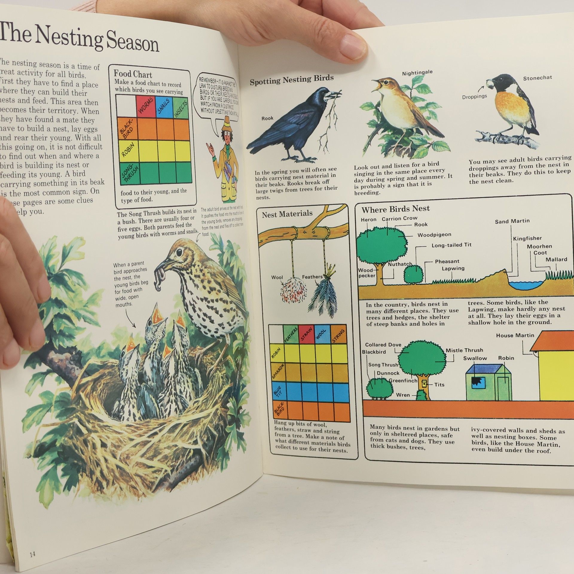 Susannah Davidson Nature Trail Series: The Usborne NatureTrail Book of Birdwatching
