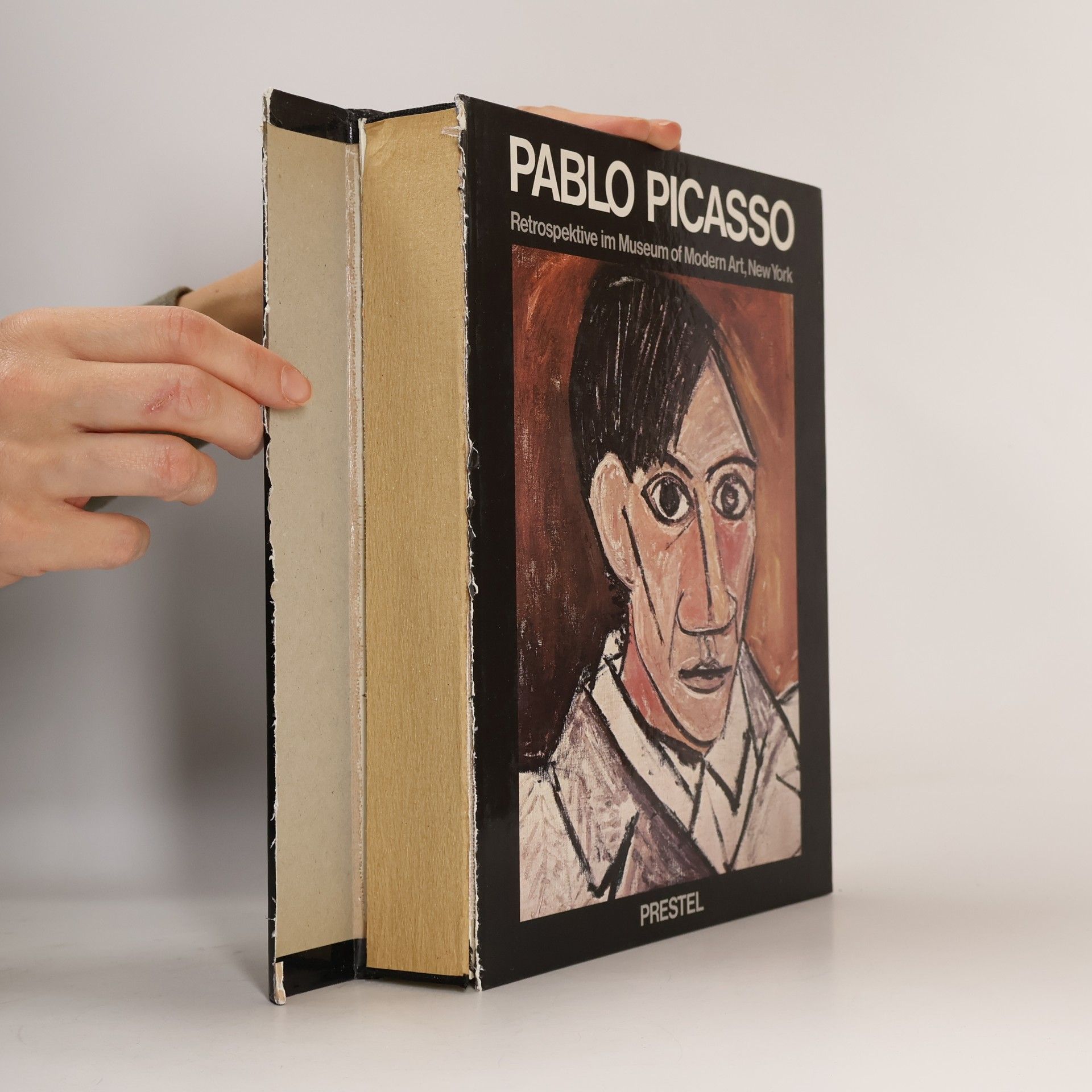 Pablo Picasso Pablo Picasso