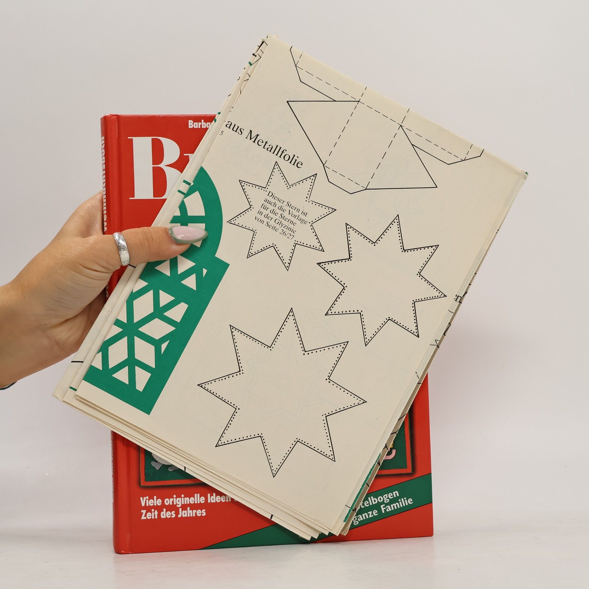 Barbara Rias-Bucher Brigitte, Das große Weihnachtsbuch