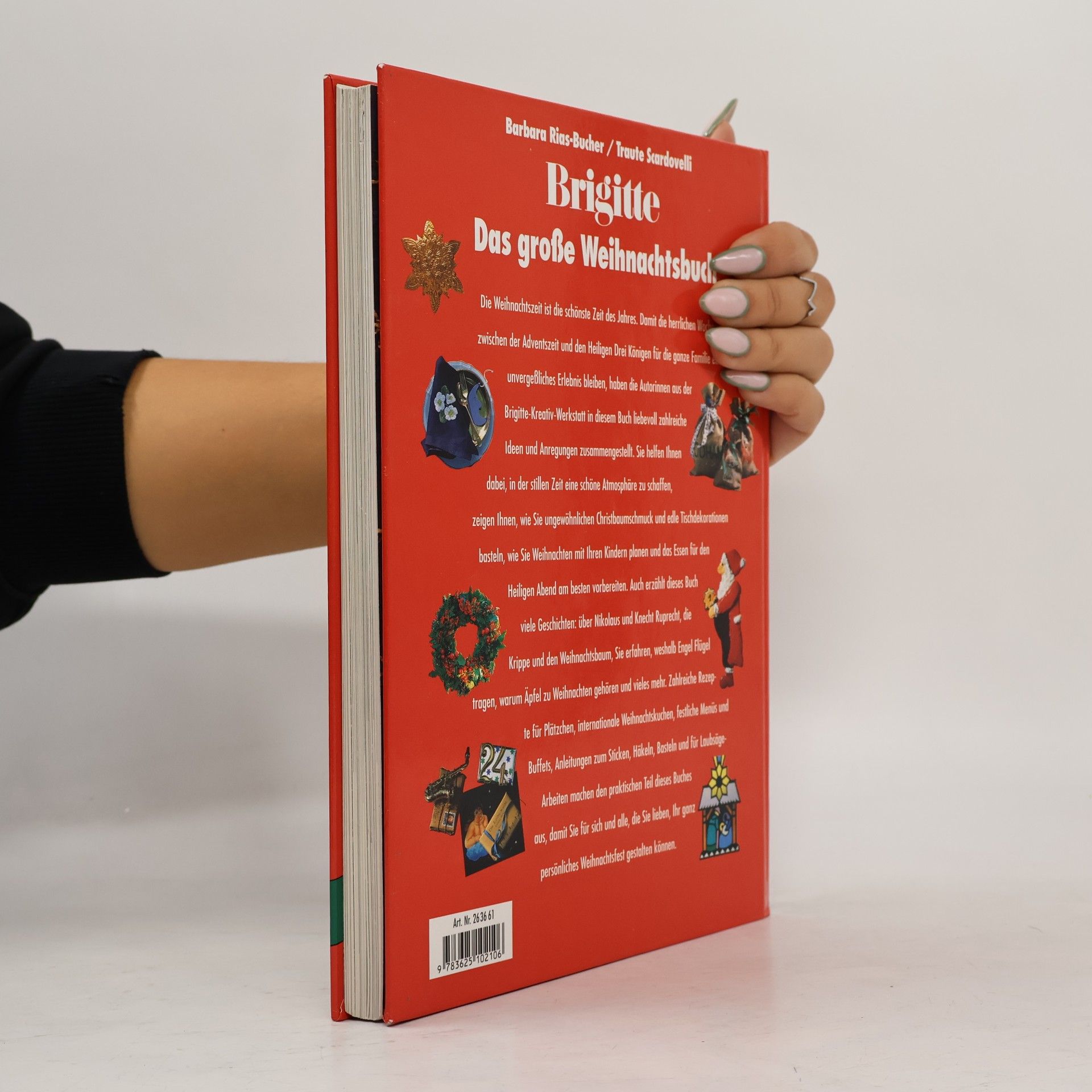 Barbara Rias-Bucher Brigitte, Das große Weihnachtsbuch