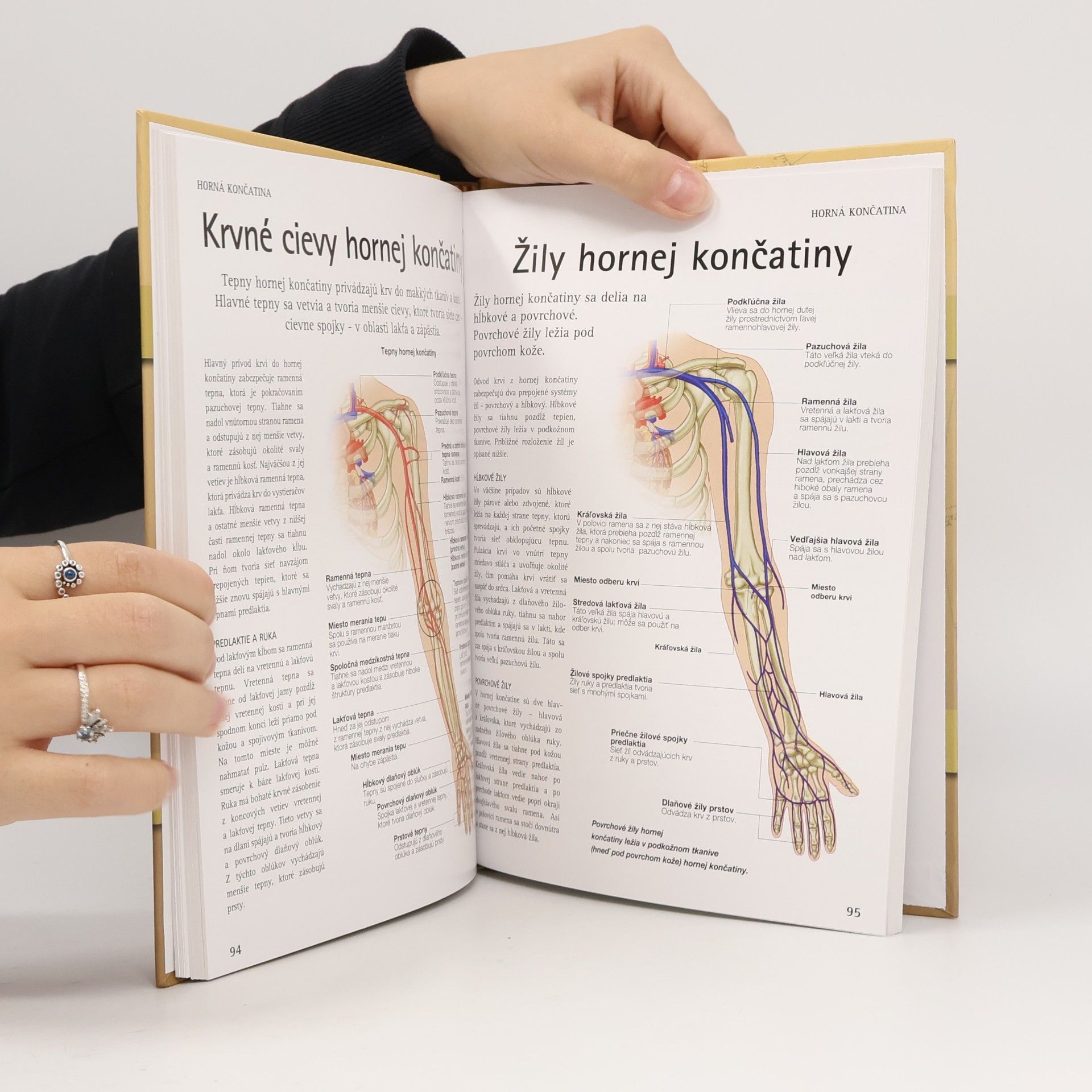 Various authors Atlas ľudského tela