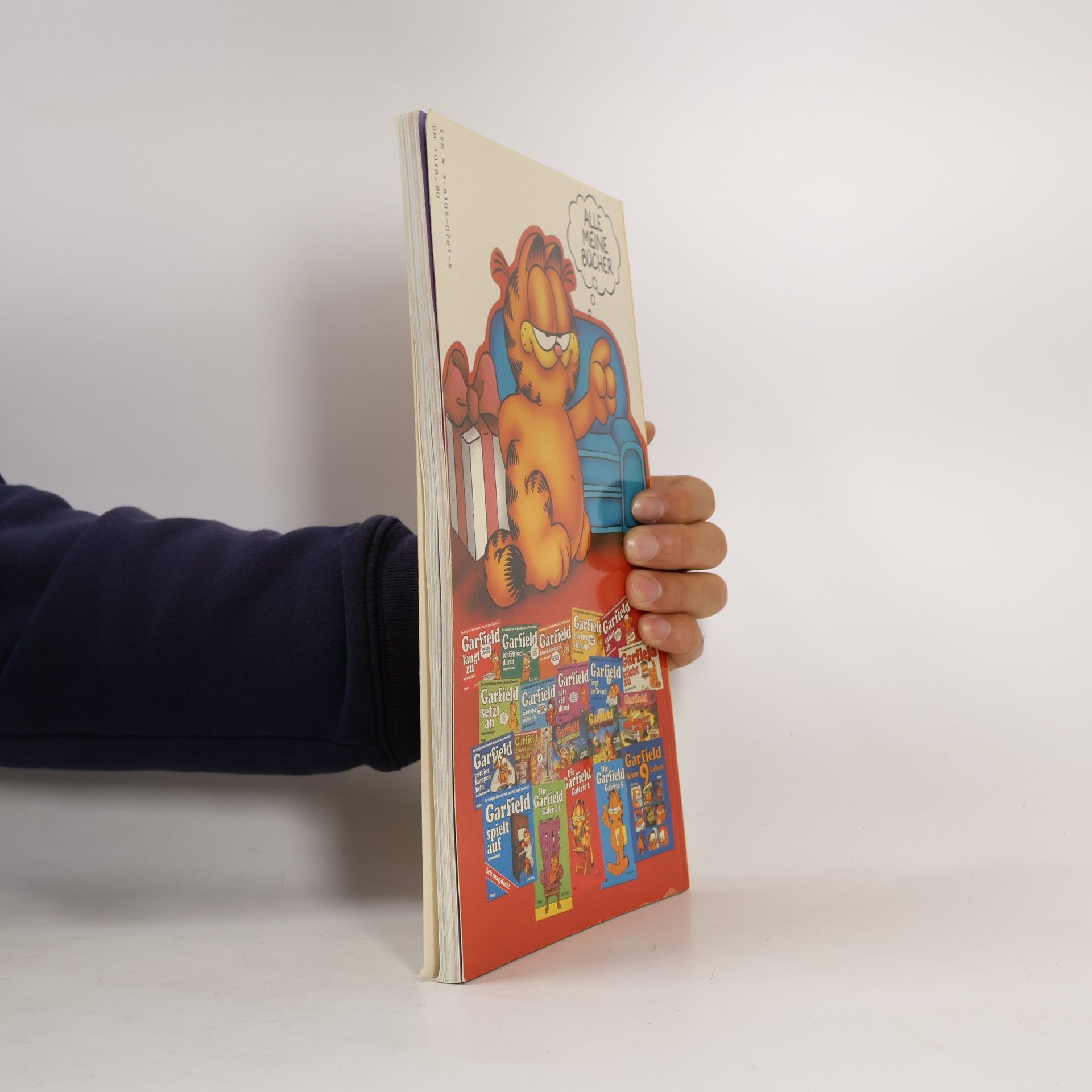 Jim Davis Die Garfield-Galerie 4. Katzen- Comics