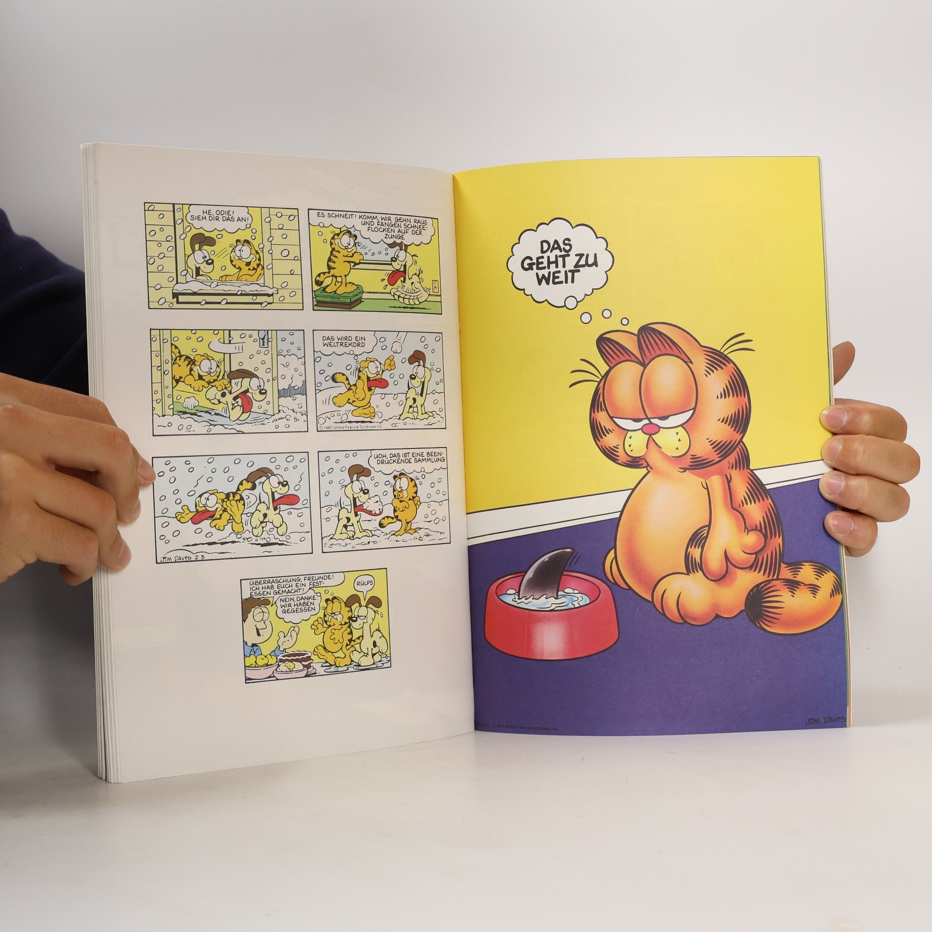 Jim Davis Die Garfield-Galerie 4. Katzen- Comics