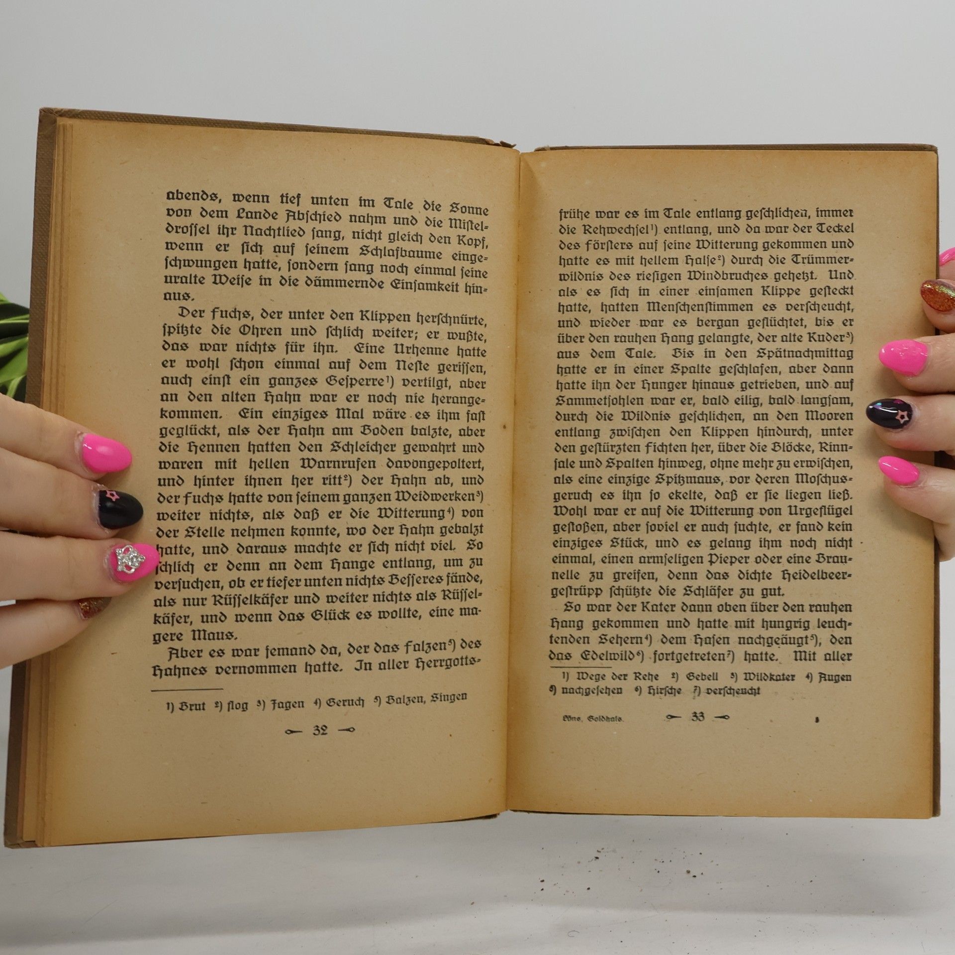 Hermann Löns Goldhals. Ein Tierbuch