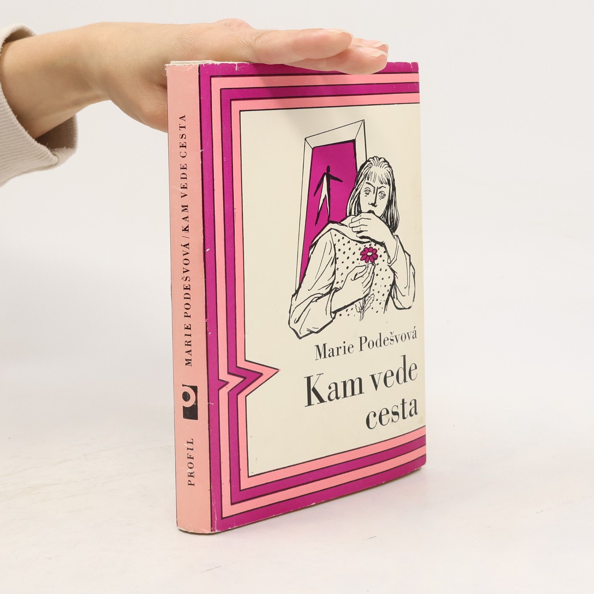 Kam vede cesta