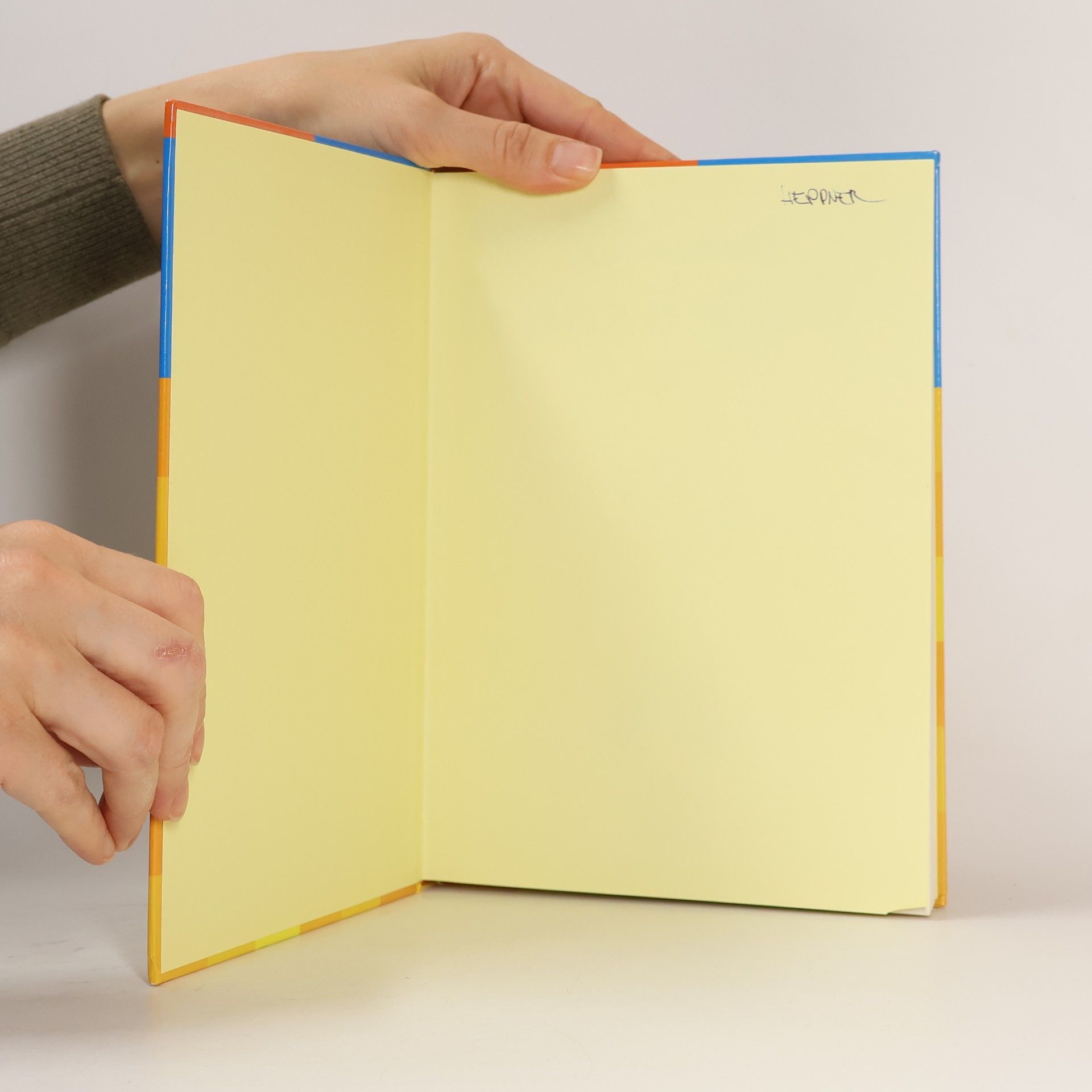 Karen Richardson Grundschulwörterbuch Französisch