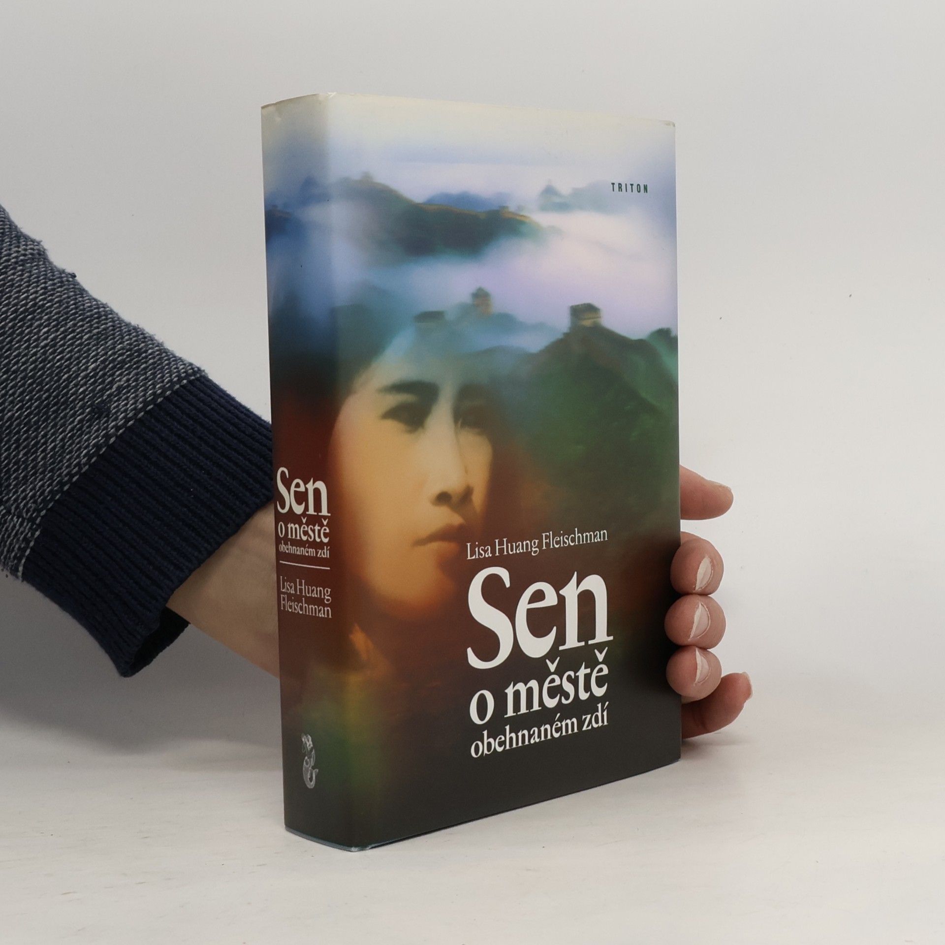 Sen o městě obehnaném zdí