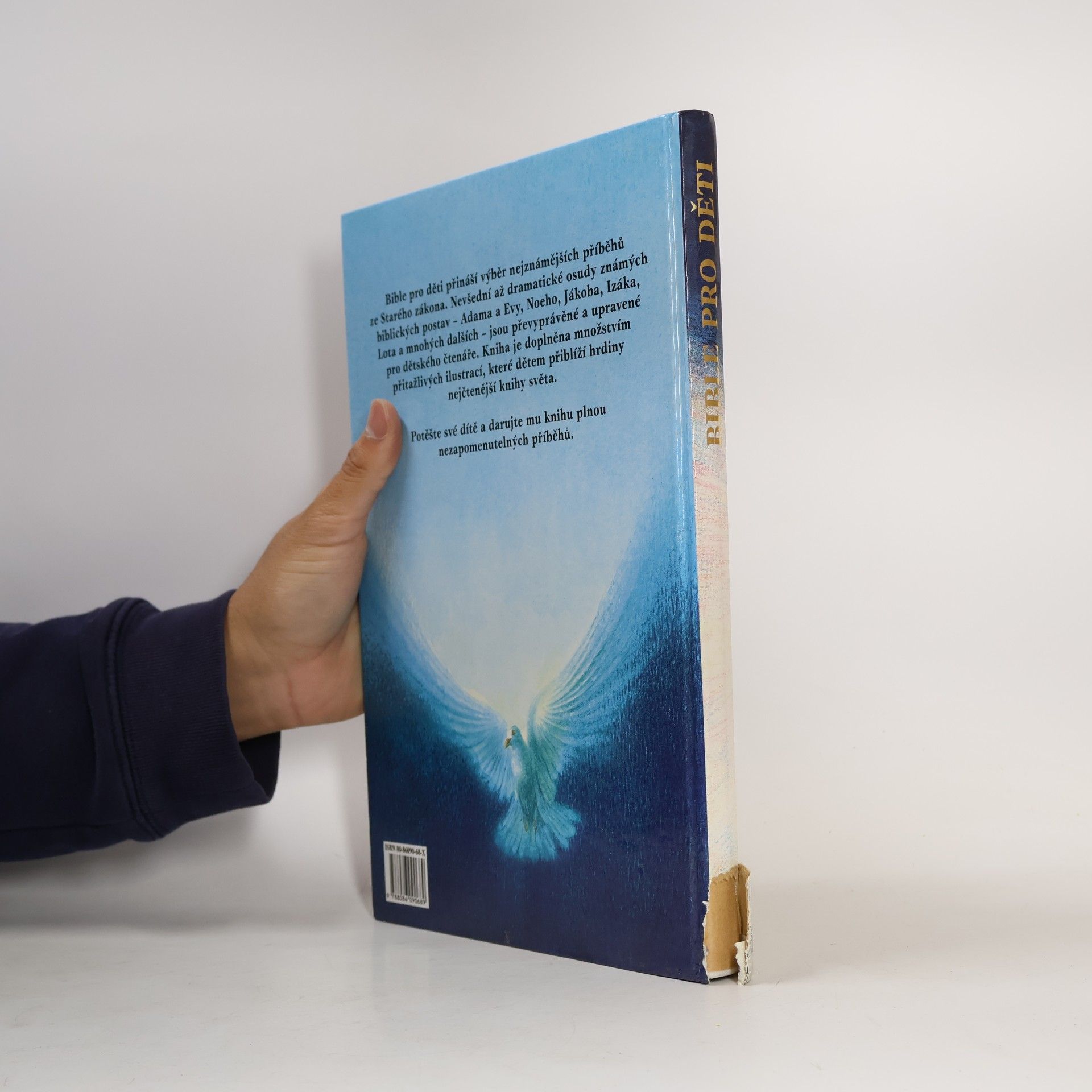 Hana Kašparovská Bible pro děti