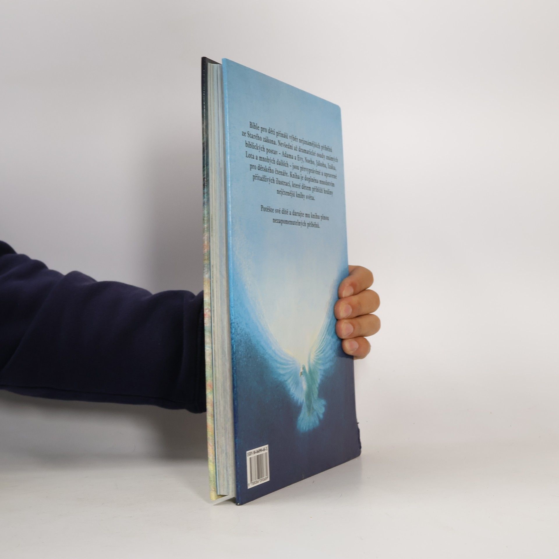 Hana Kašparovská Bible pro děti