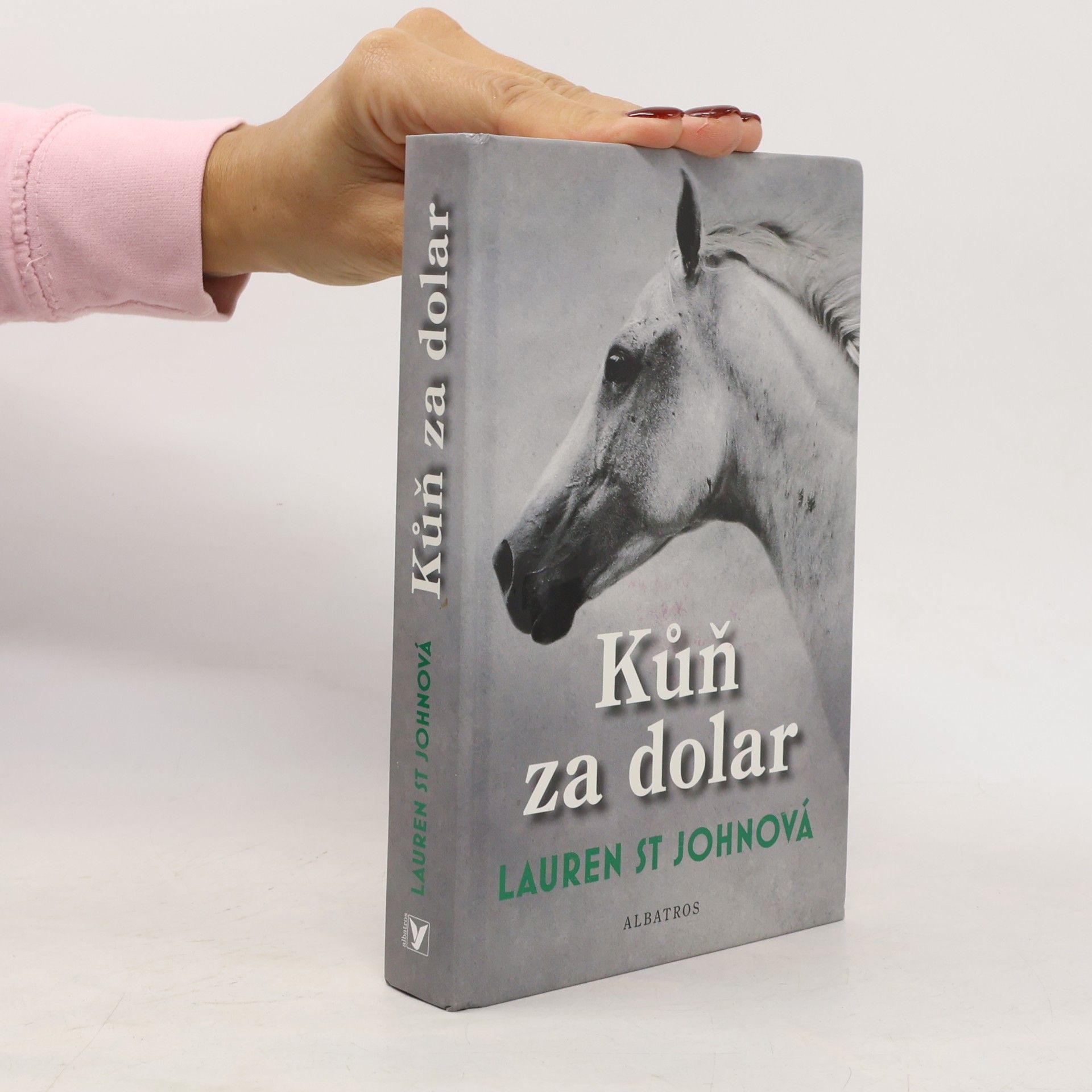 Lauren St. John Kůň za dolar