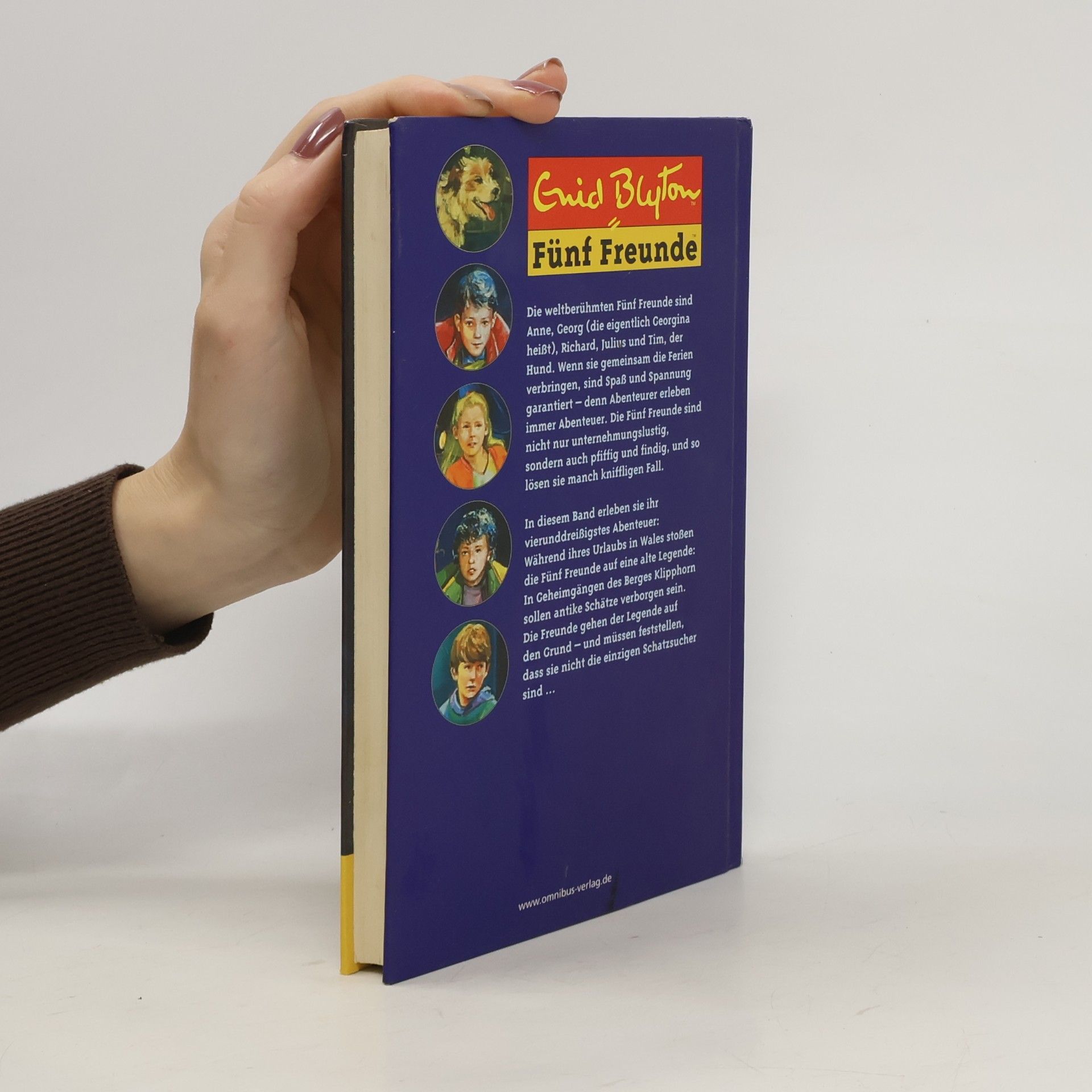 Enid Blyton Fünf Freunde suchen den verschollenen Goldschatz