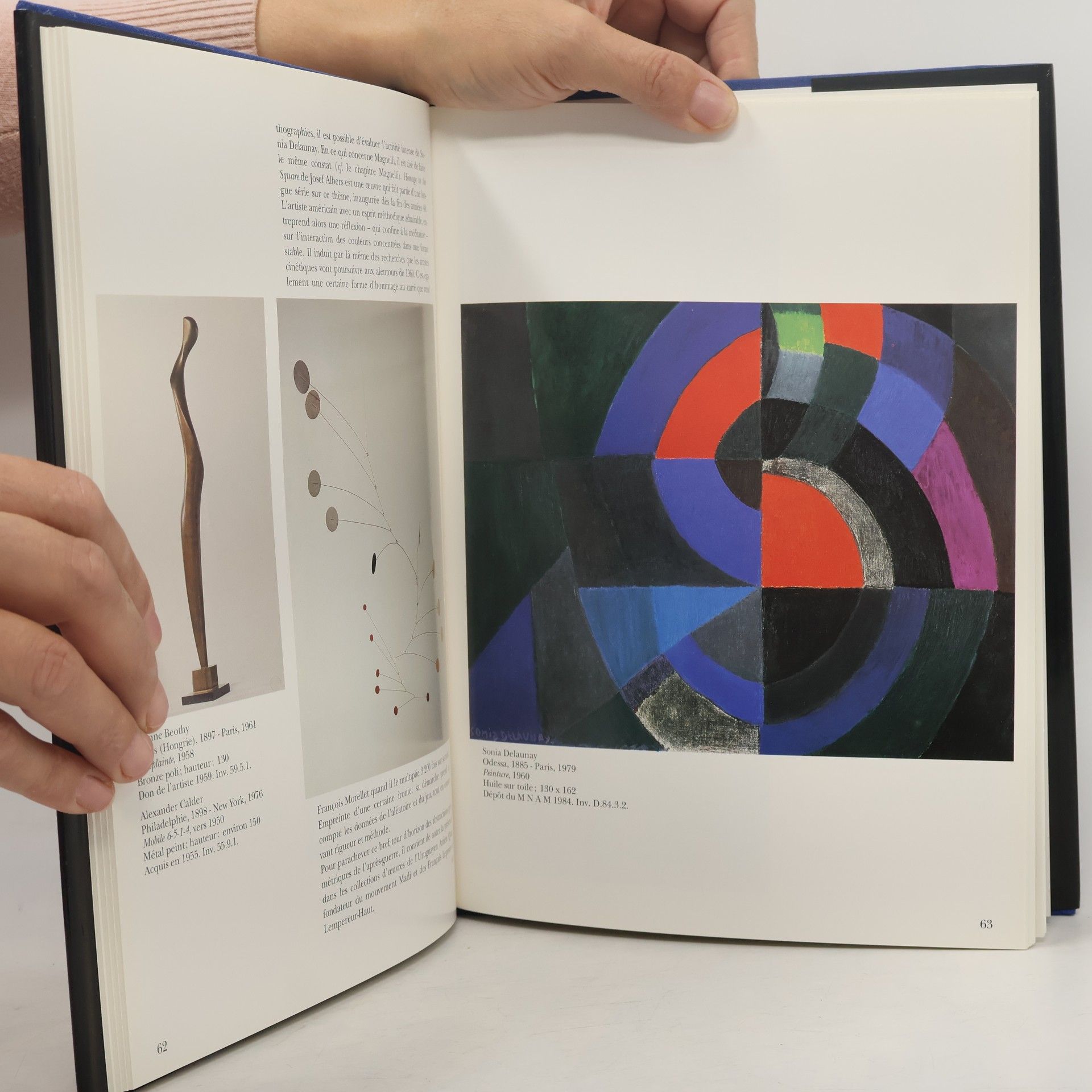 P. Lemoine Le Musée d'Art Moderne de Saint-Étienne