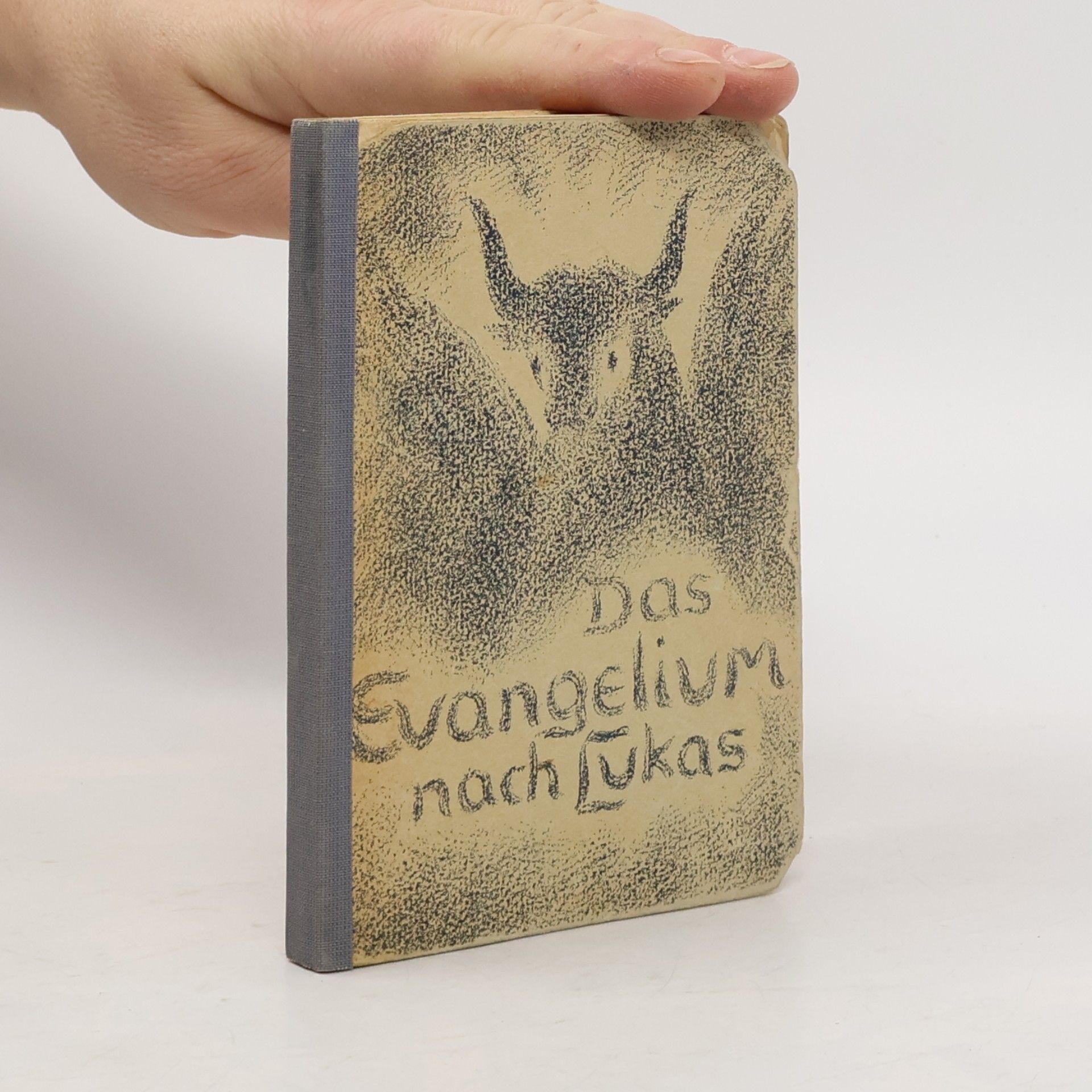 Kolektiv autorů Das Evangelium nach Lukas