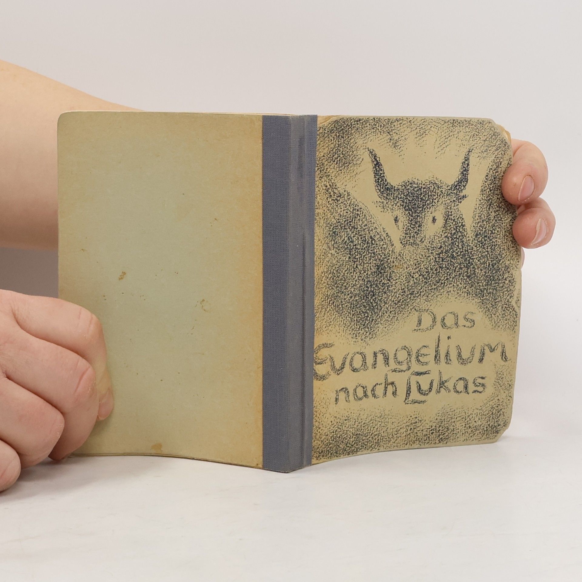 Kolektiv autorů Das Evangelium nach Lukas