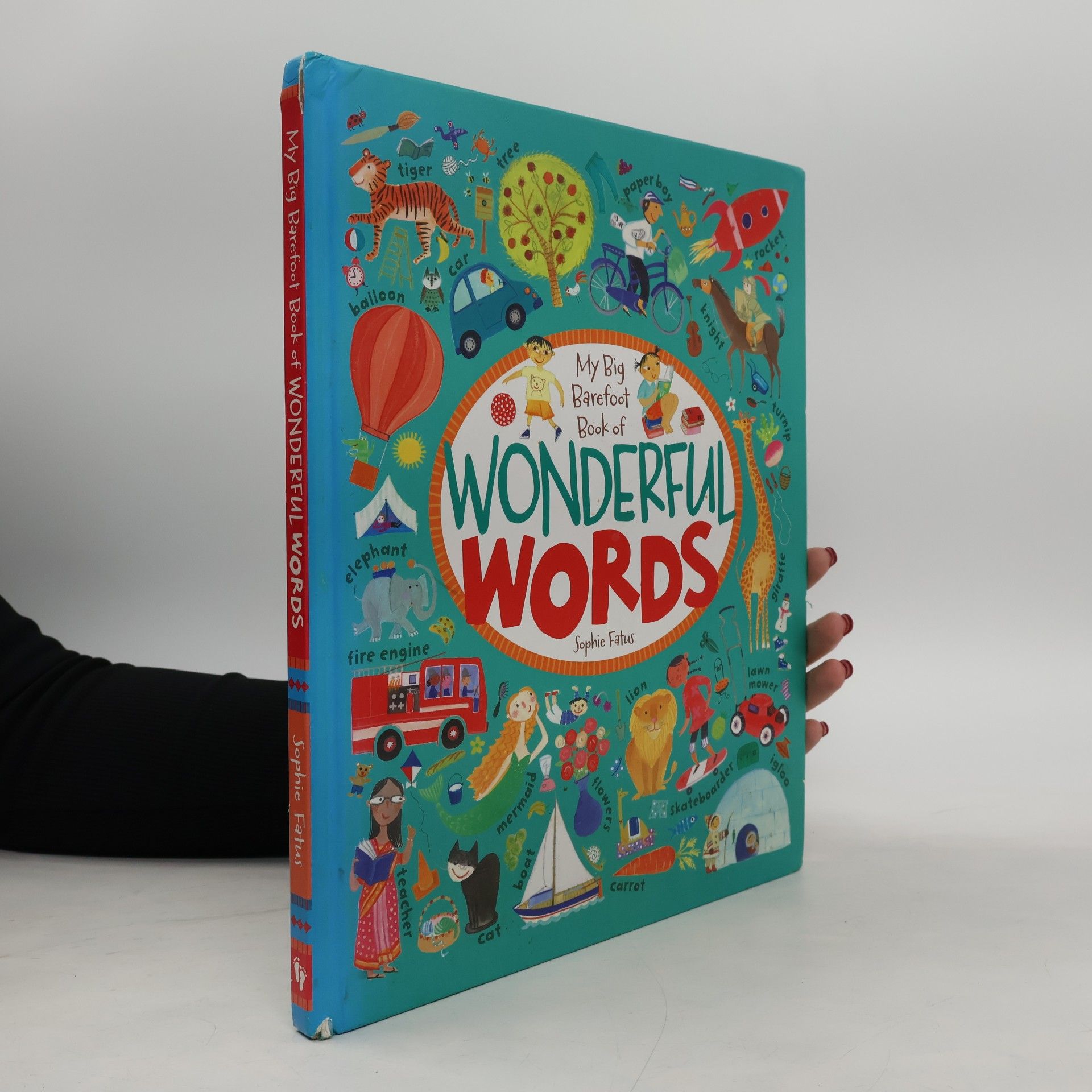 My big Barefoot book of wondeful words