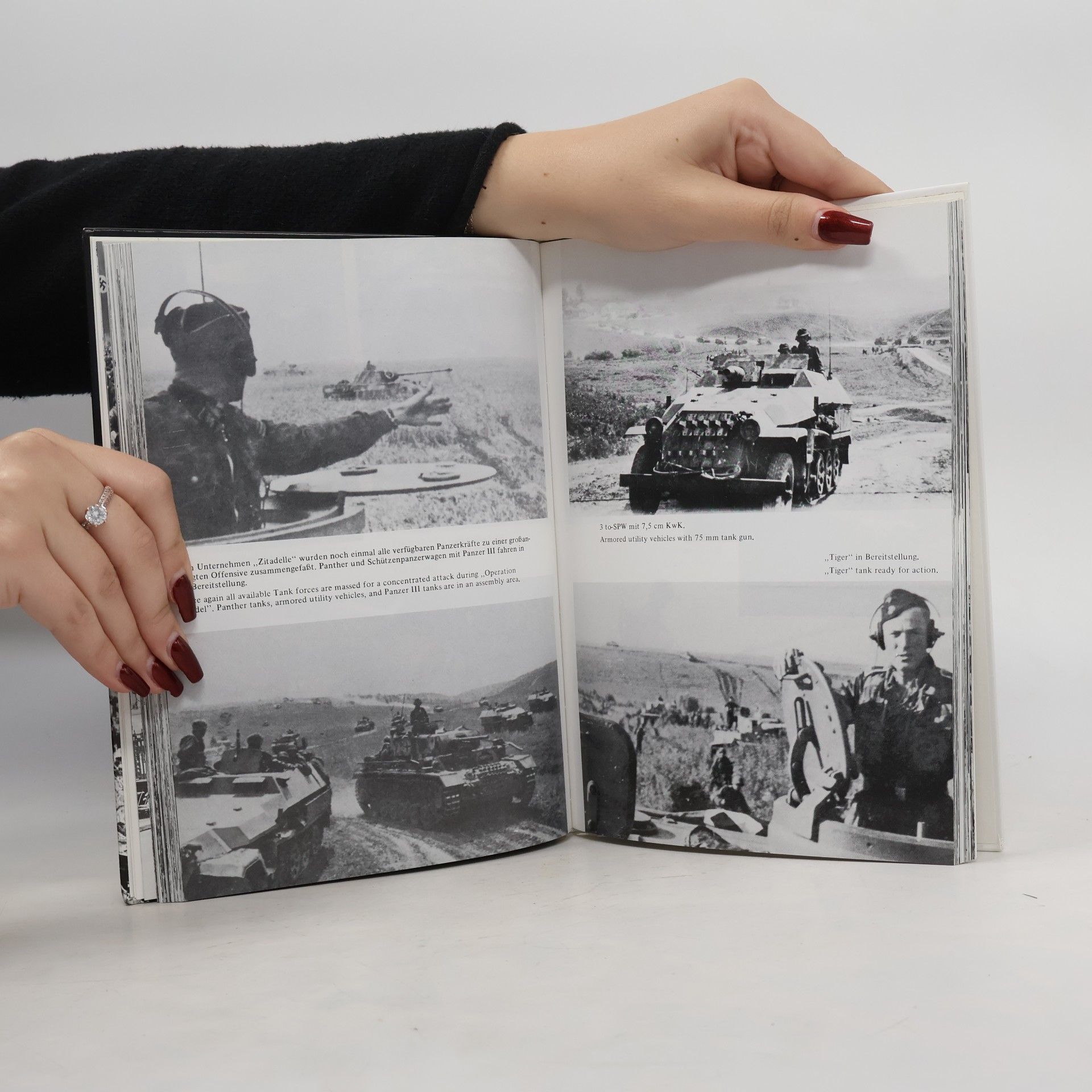Herbert Walther Die Waffen-SS: Eine Bilddokumentation von Herbert Walther
