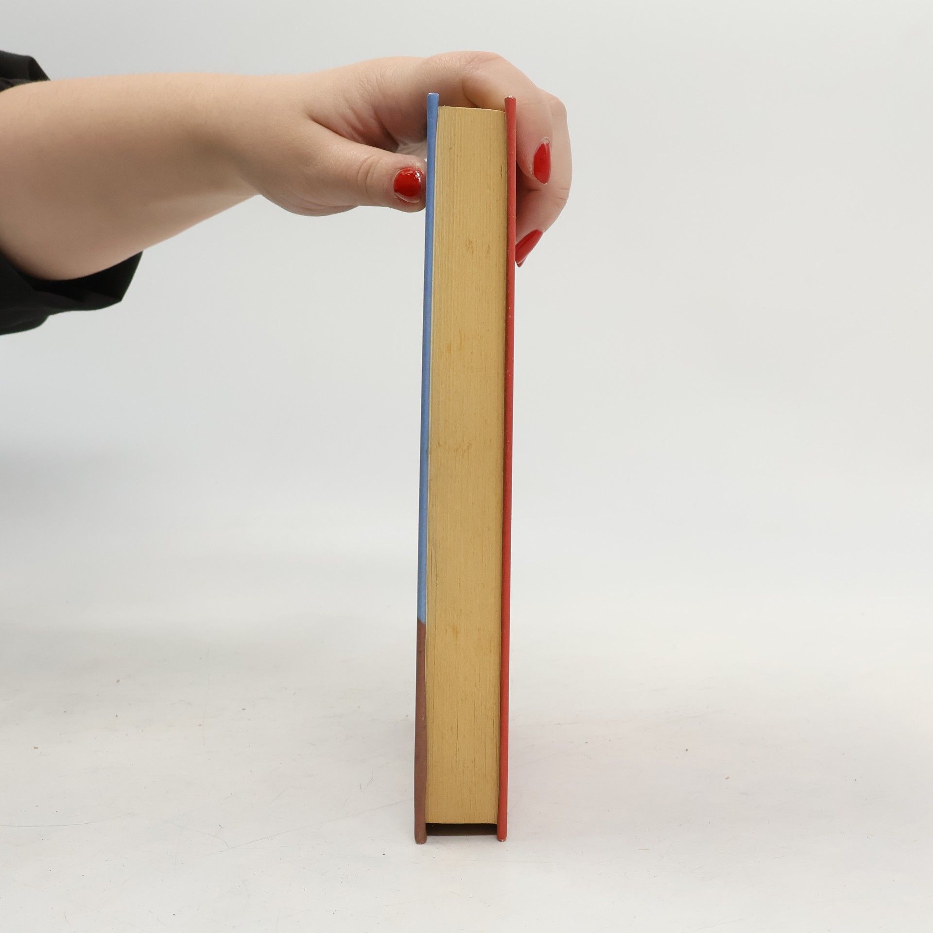 Helene Tursten Skleněný ďábel