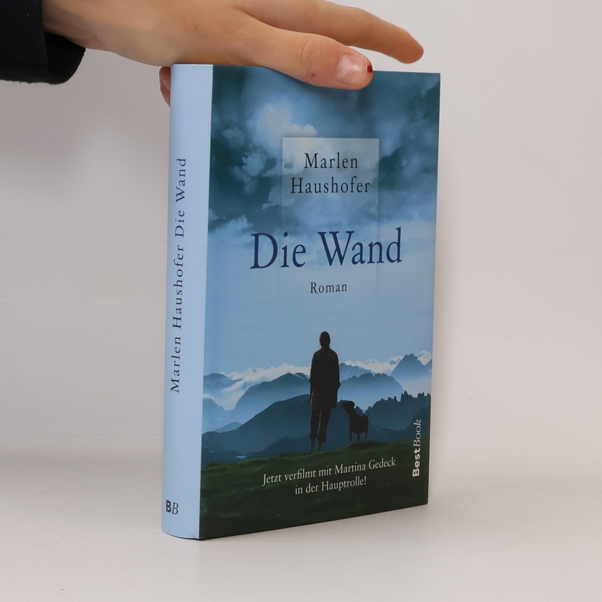 Die Wand