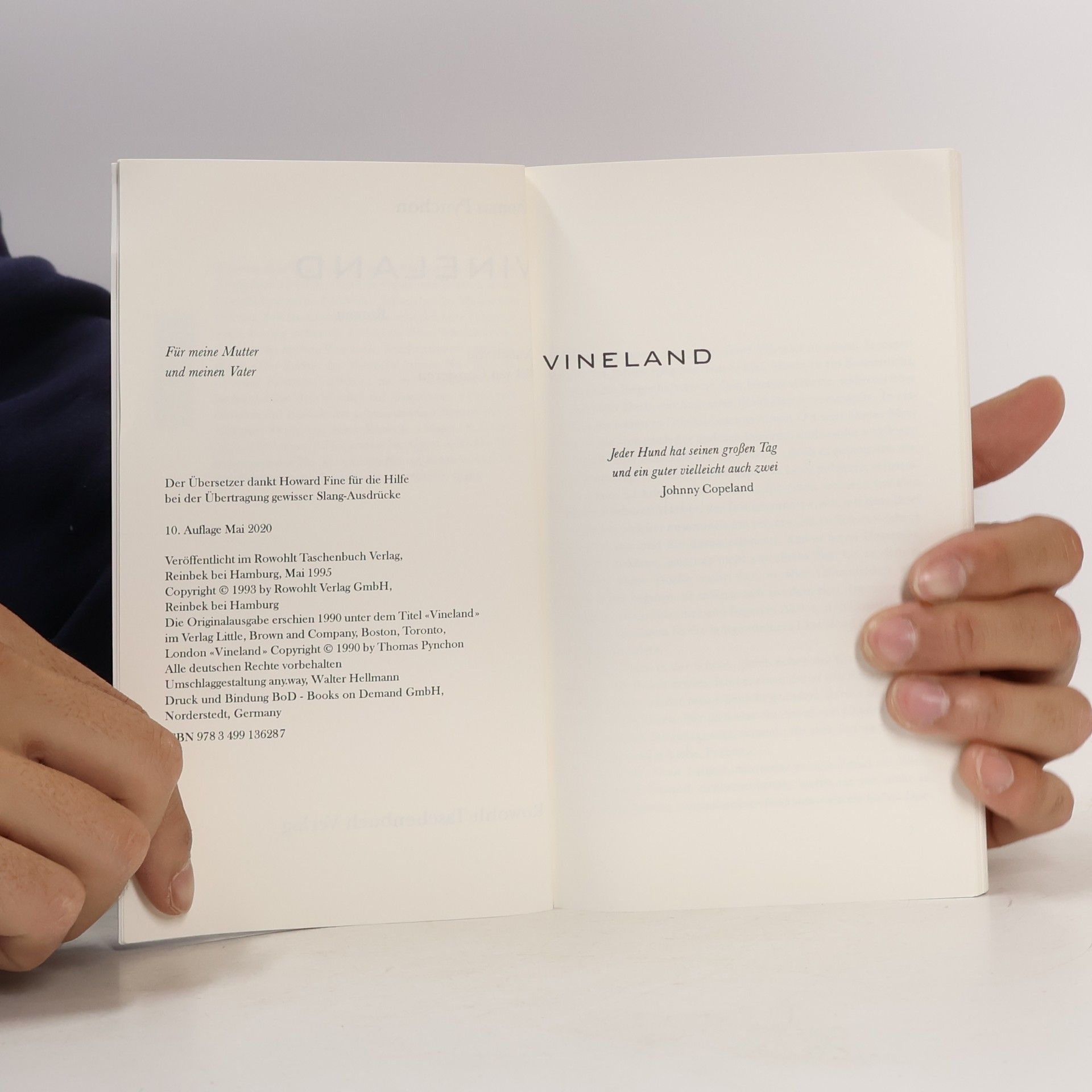 Thomas Pynchon Vineland