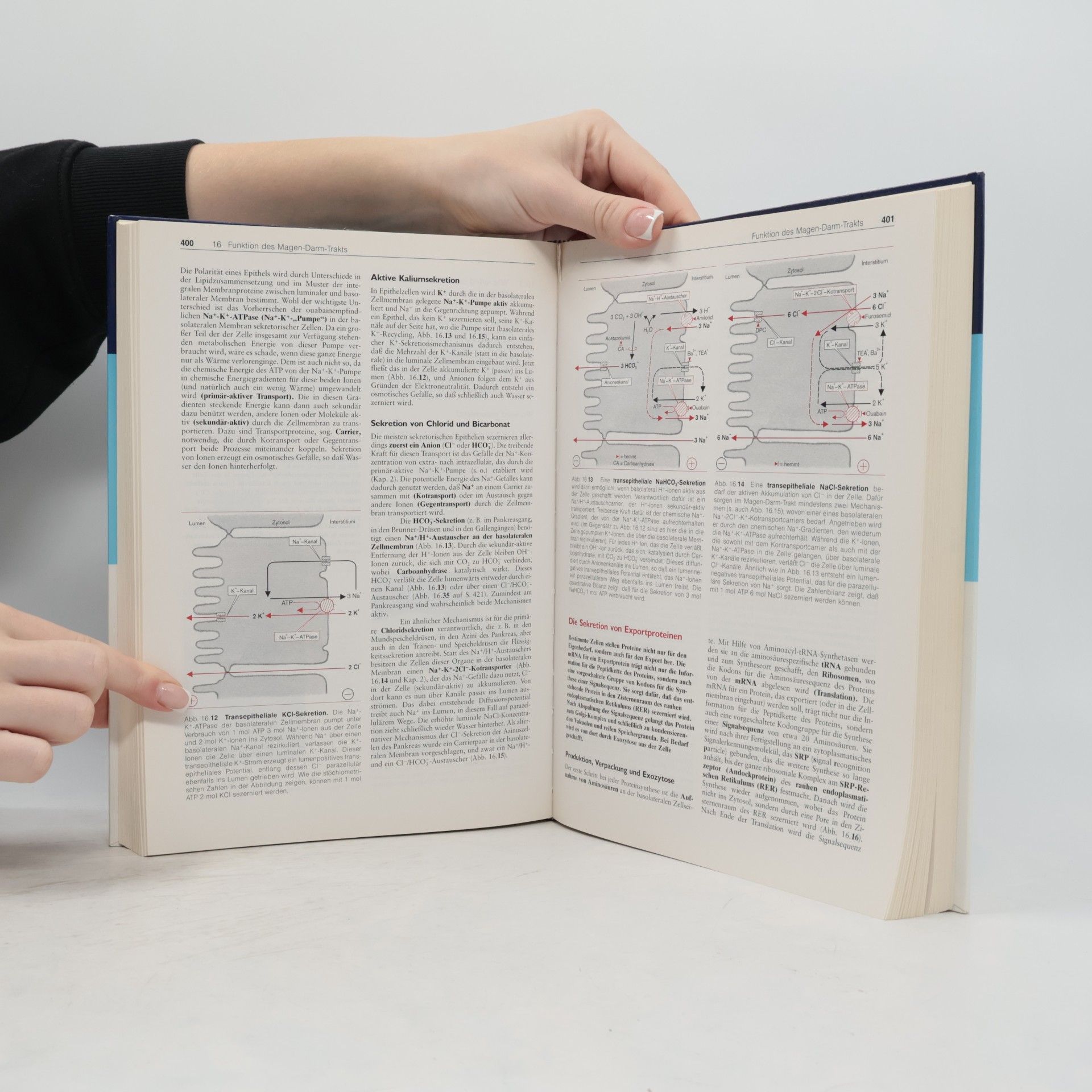 Rainer Klinke Lehrbuch der Physiologie